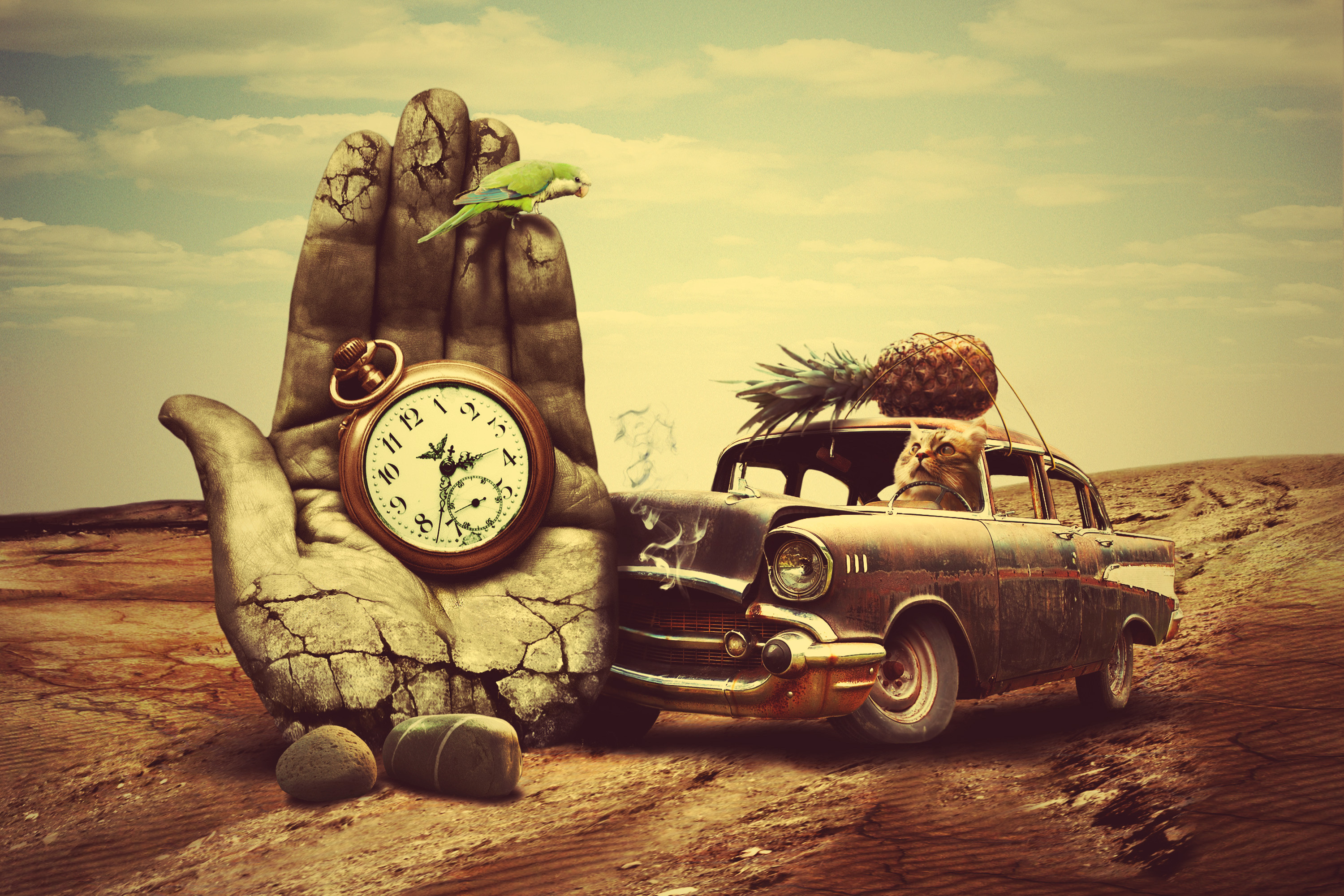 creative, art, clock, hand, cat, car, surrealism, pineapple