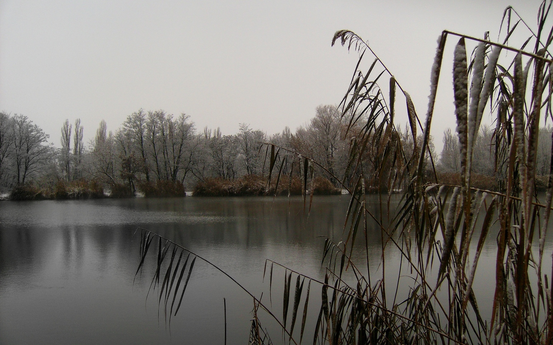 earth, lake, frost, lakes UHD