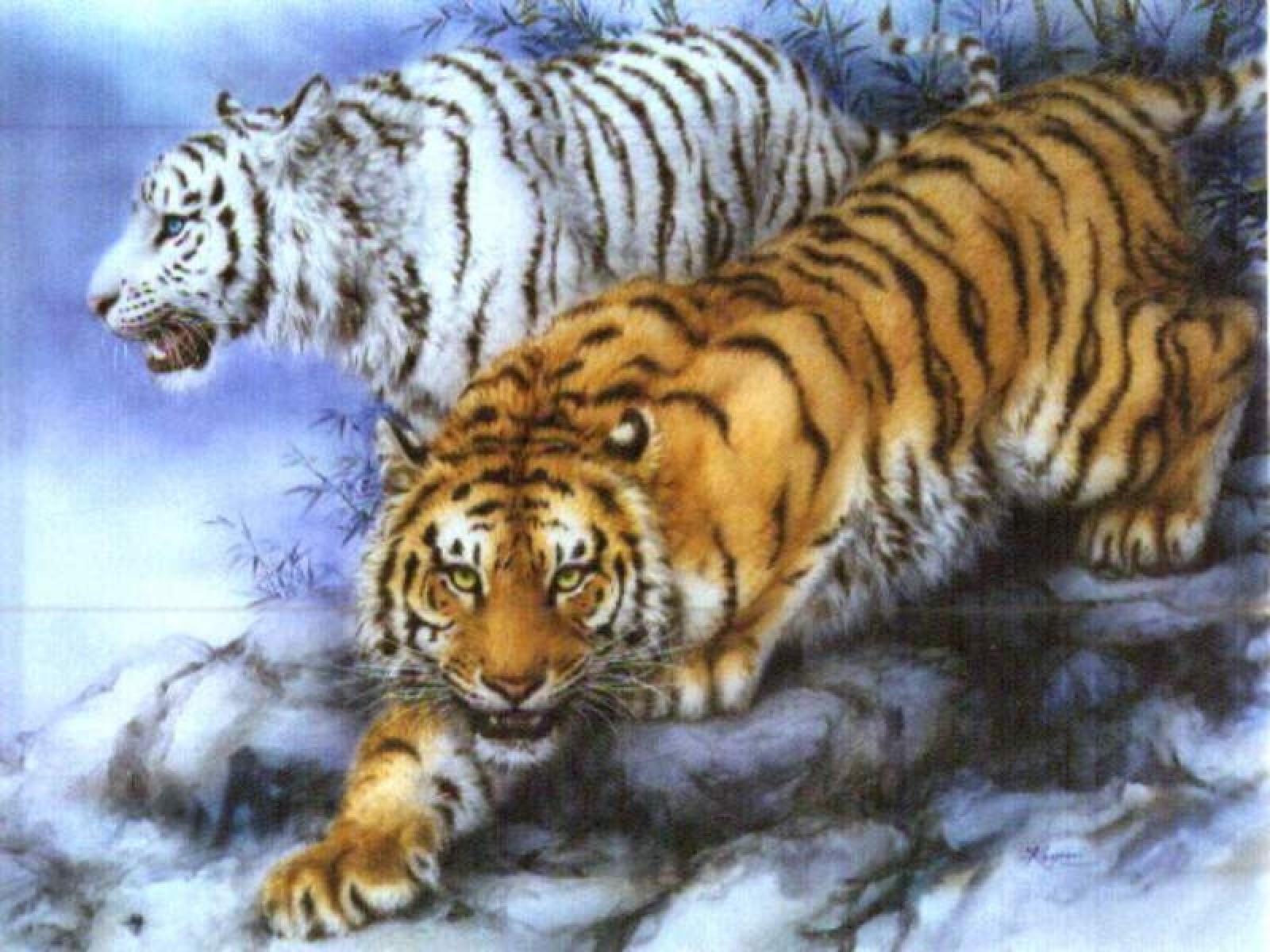 8278 завантажити шпалери тварини, тигри, малюнки - заставки і картинки безкоштовно