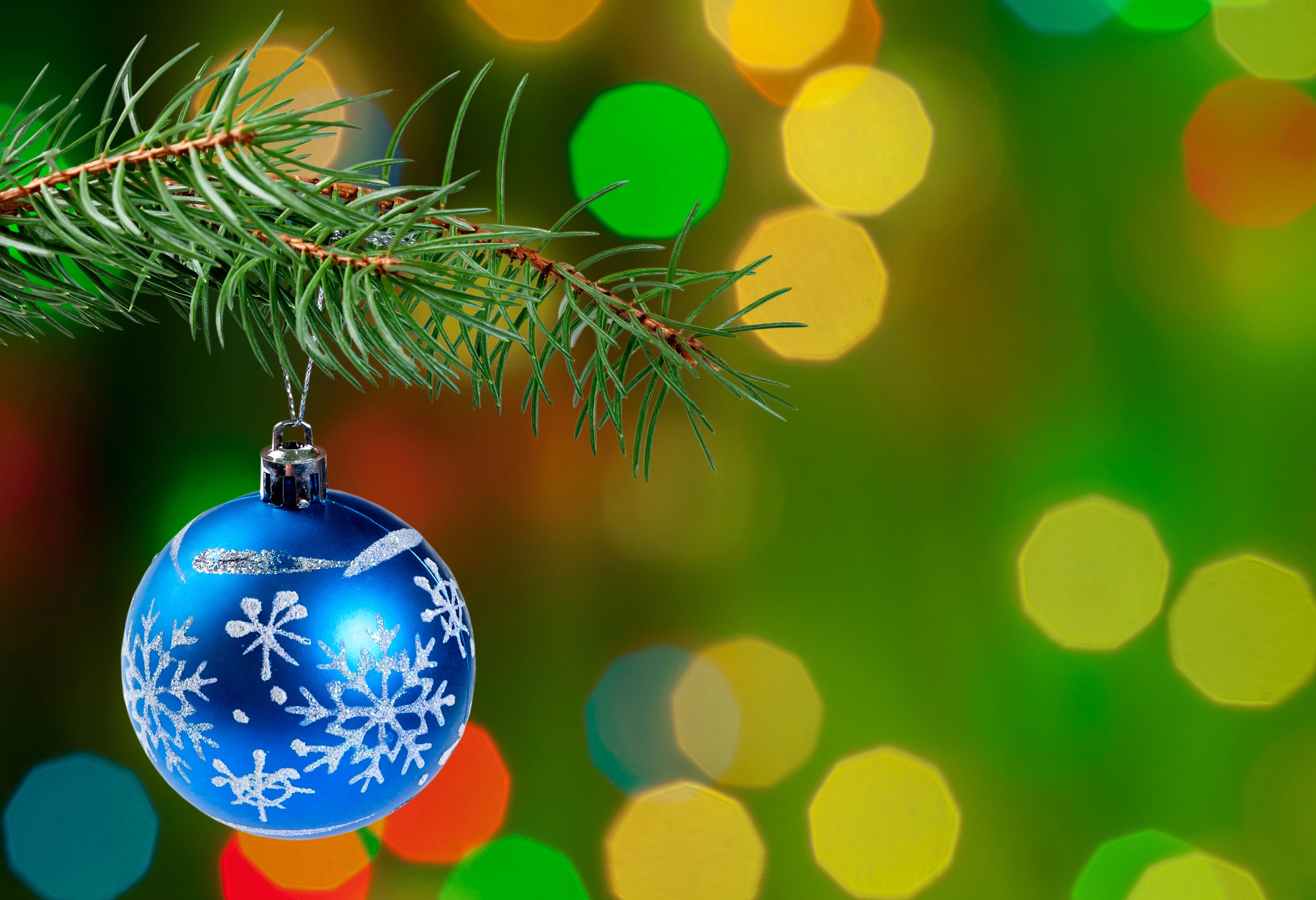 50983 descargar imagen árbol de navidad, año nuevo, miscelánea, misceláneo, rama, abeto, bola, pelota, decoraciones de navidad, la decoración de la aguja, bokeh, boquet: fondos de pantalla y protectores de pantalla gratis