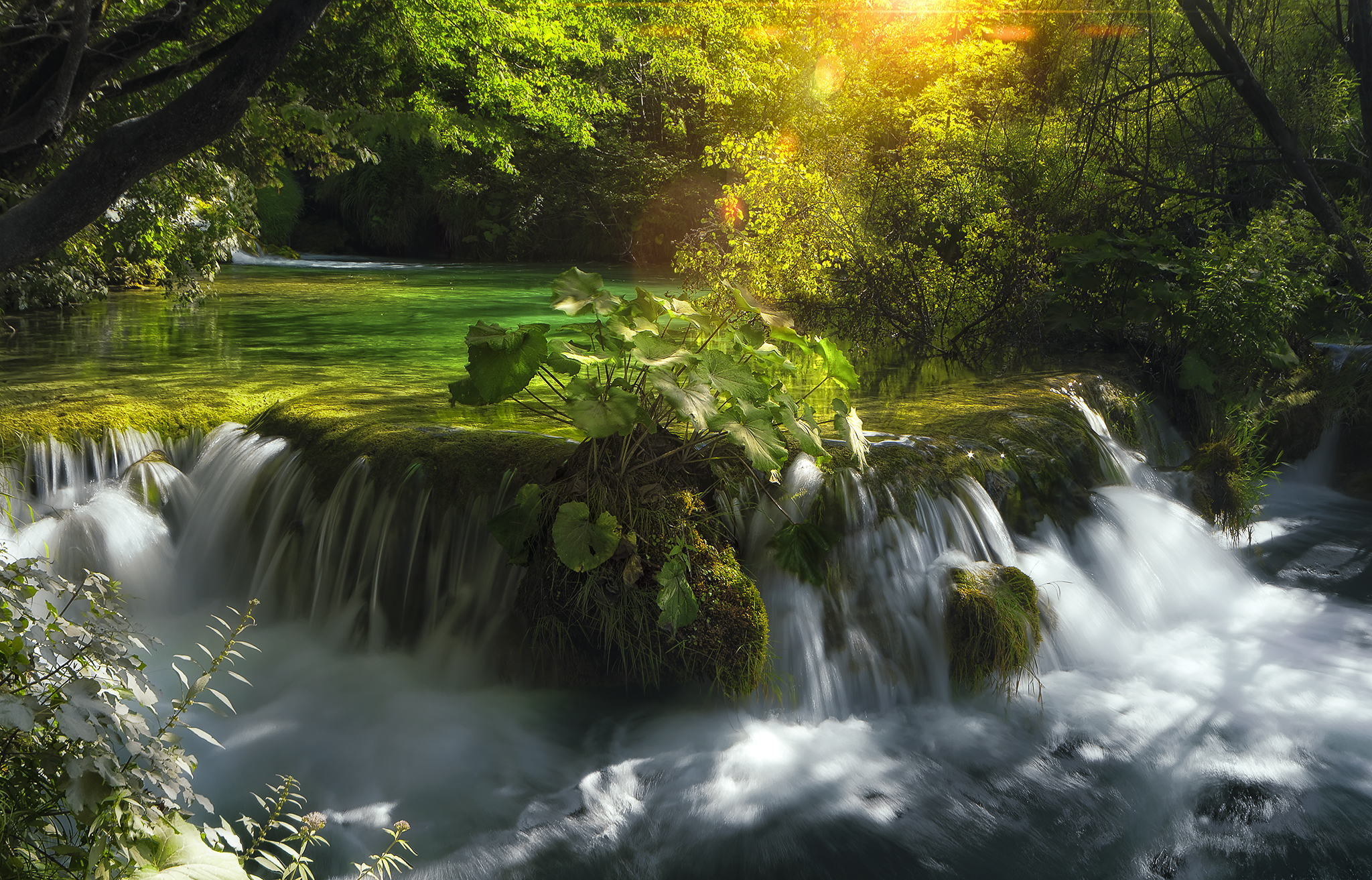 Живописная природа с водопадами