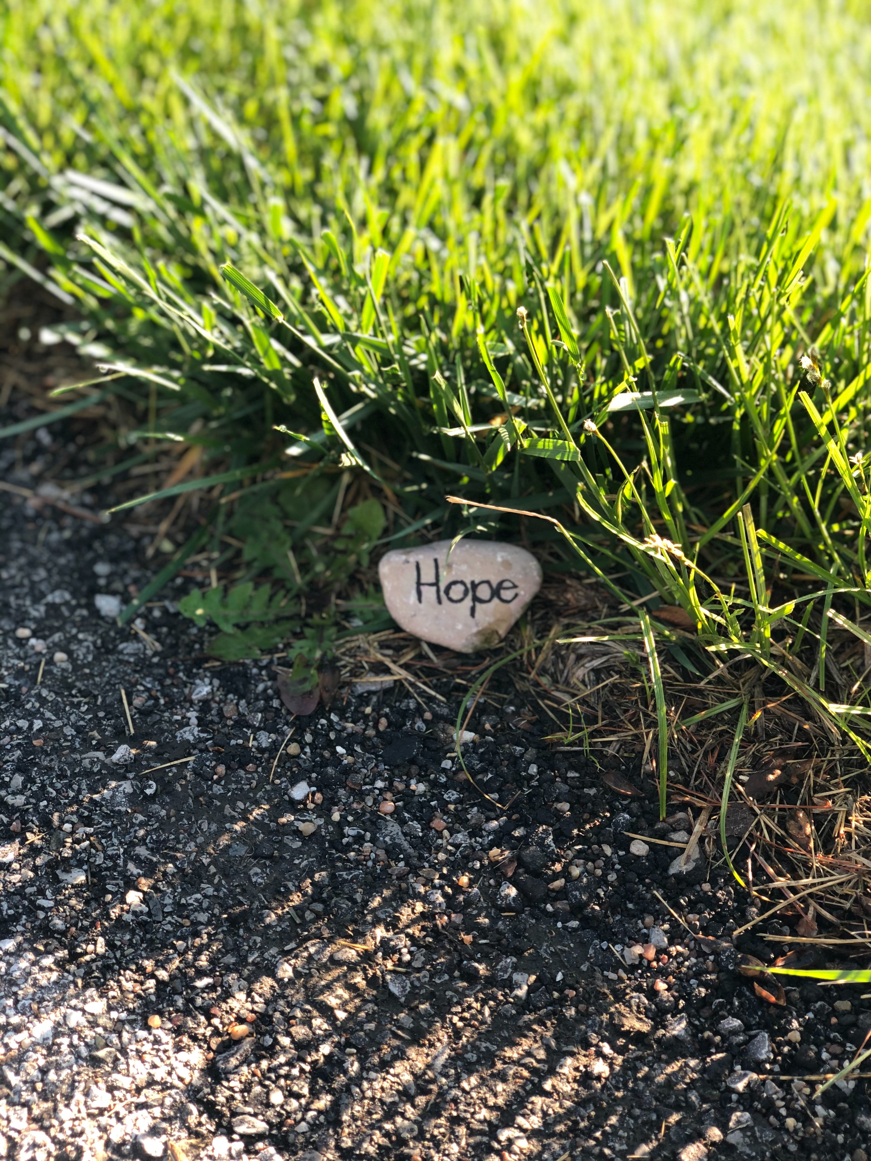 android hope, words, grass, rock, stone, inscription