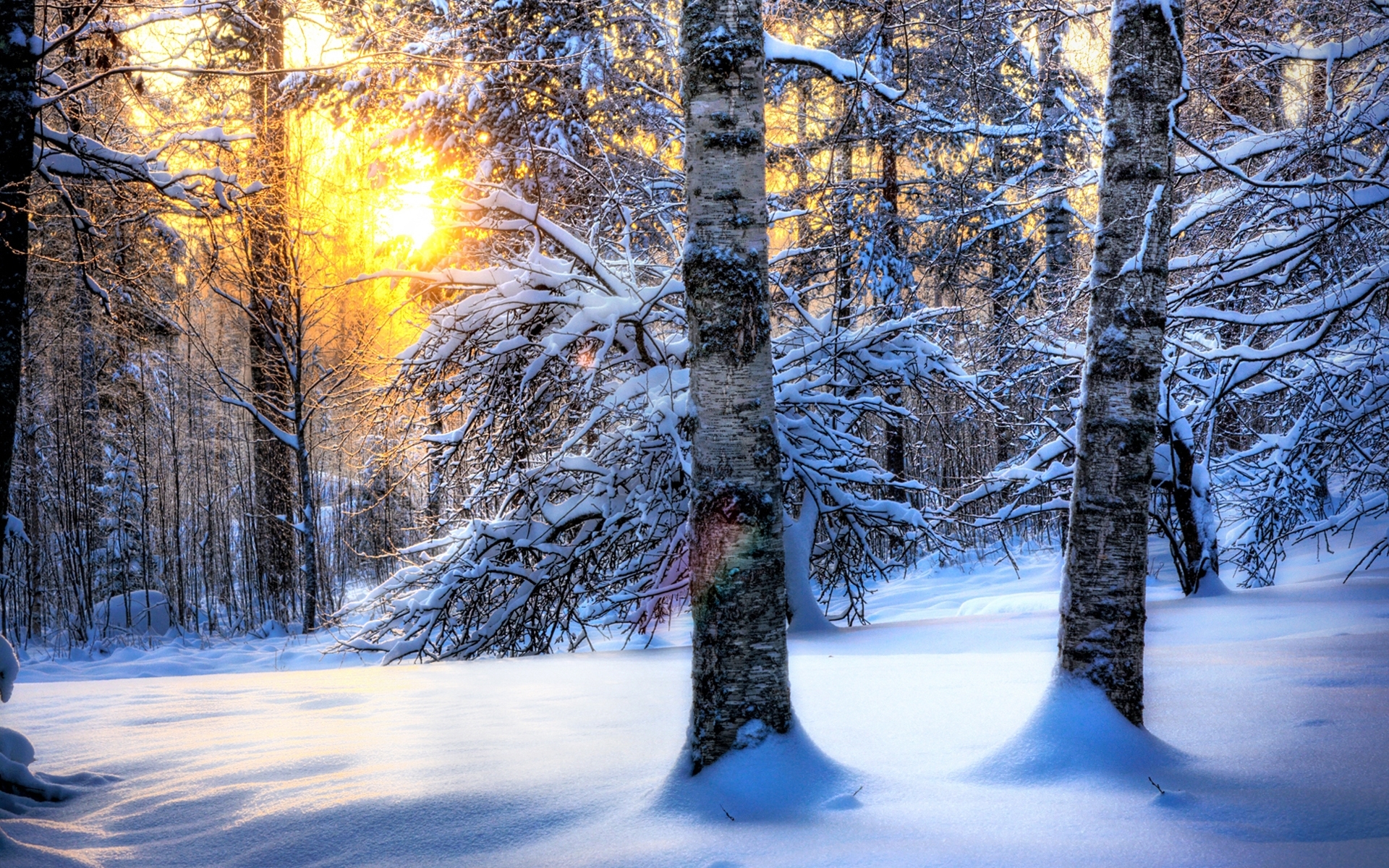 Handy-Wallpaper Landschaft, Winter, Schnee, Natur, Bäume kostenlos herunterladen.