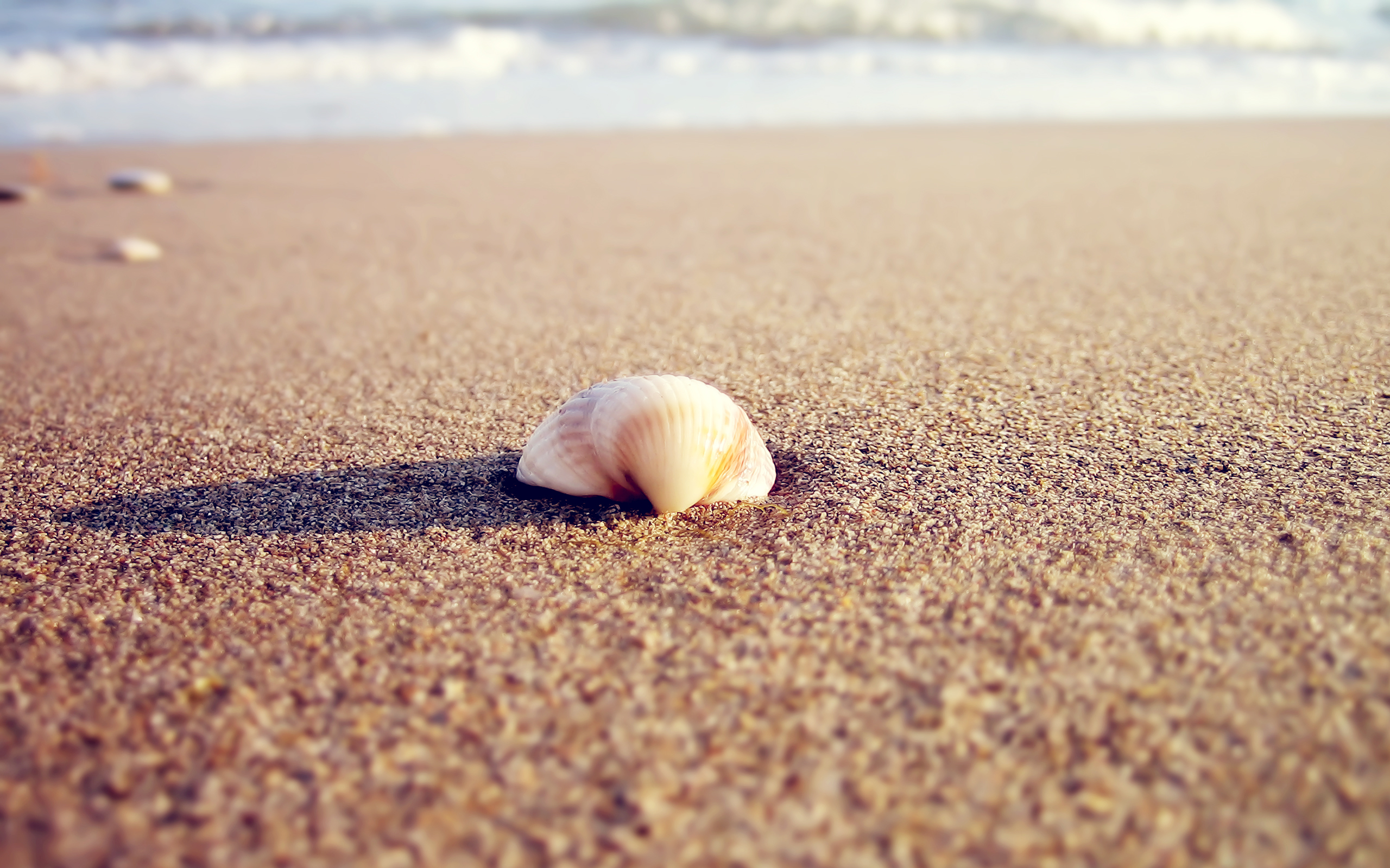 Download mobile wallpaper Sea, Landscape, Shells, Beach for free.