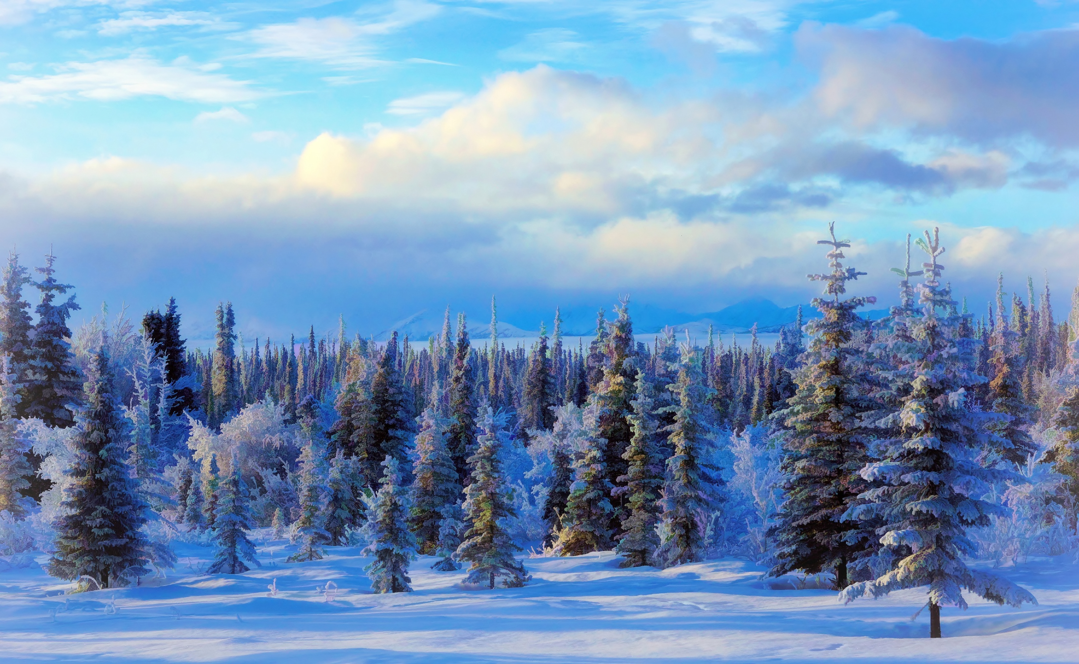 Пейзаж зимний лес. Зима пейзаж. Сказочный зимний лес. Зимний Лесной пейзаж. Панорама зимнего леса.