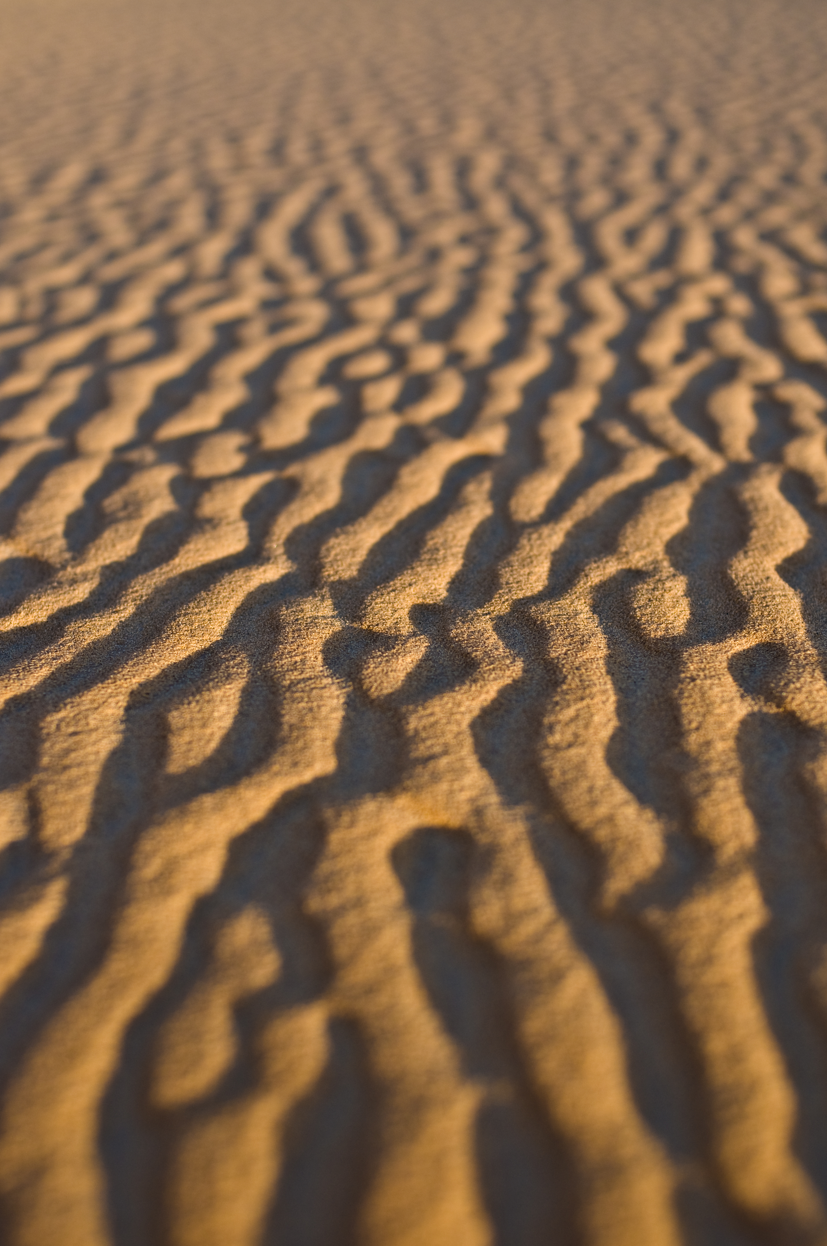 143676 Hintergrundbild herunterladen sand, wüste, textur, texturen, wellig - Bildschirmschoner und Bilder kostenlos