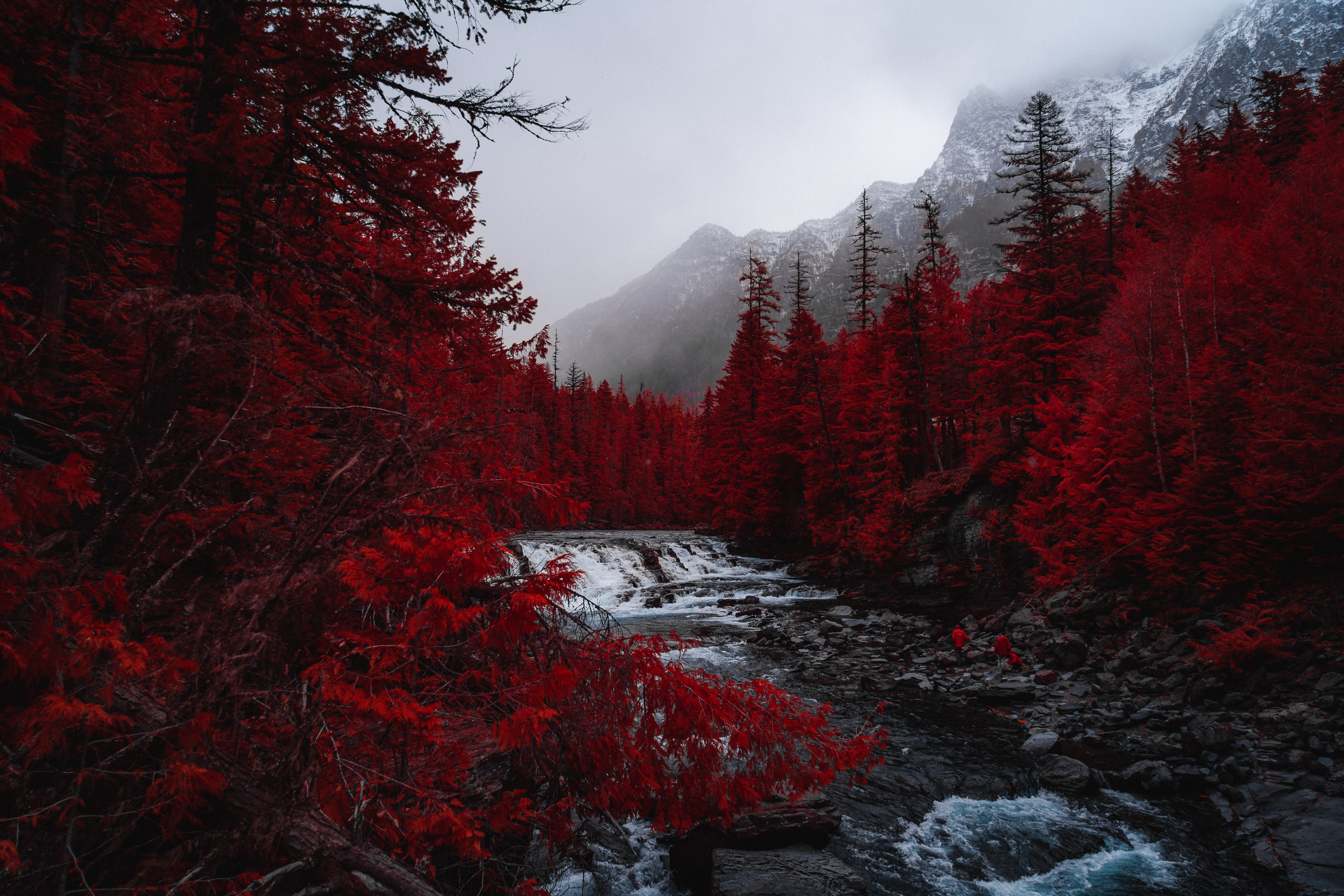 rivers, red, nature, fog, landscape, trees, mountains