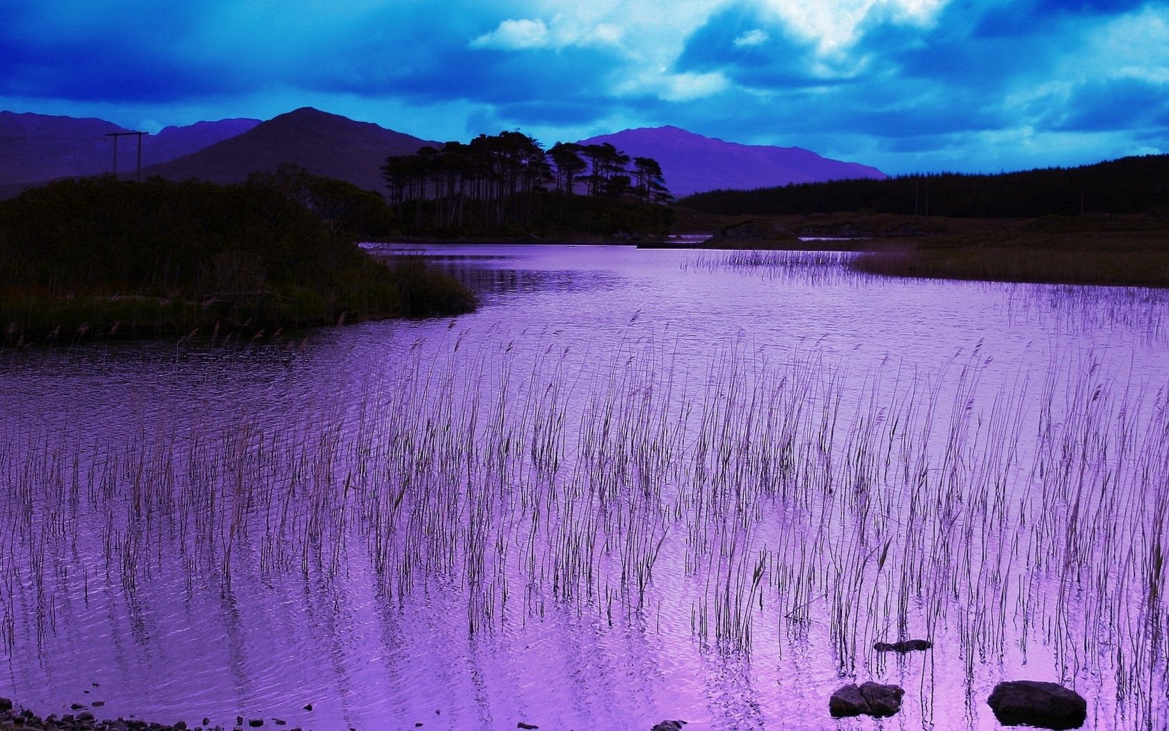nature, water, grass, pink, evening, basin Full HD