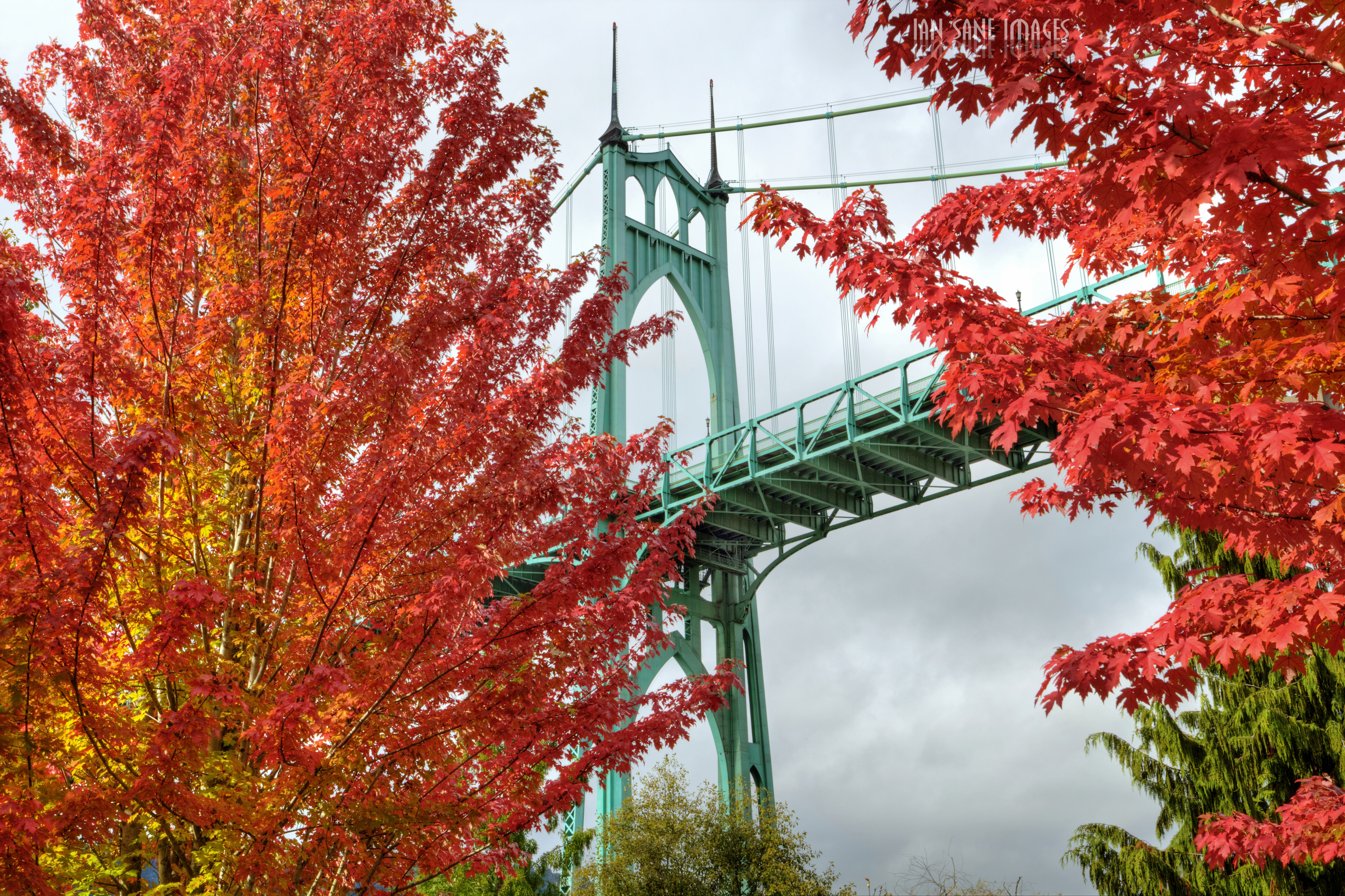Download mobile wallpaper Portland, Cities, Bridge, Trees, Oregon, Autumn, Bright for free.