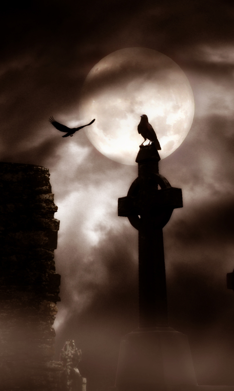 The Gothic Background Of The Cross Forest In The Dark Cemetery Wallpaper  Image For Free Download - Pngtree