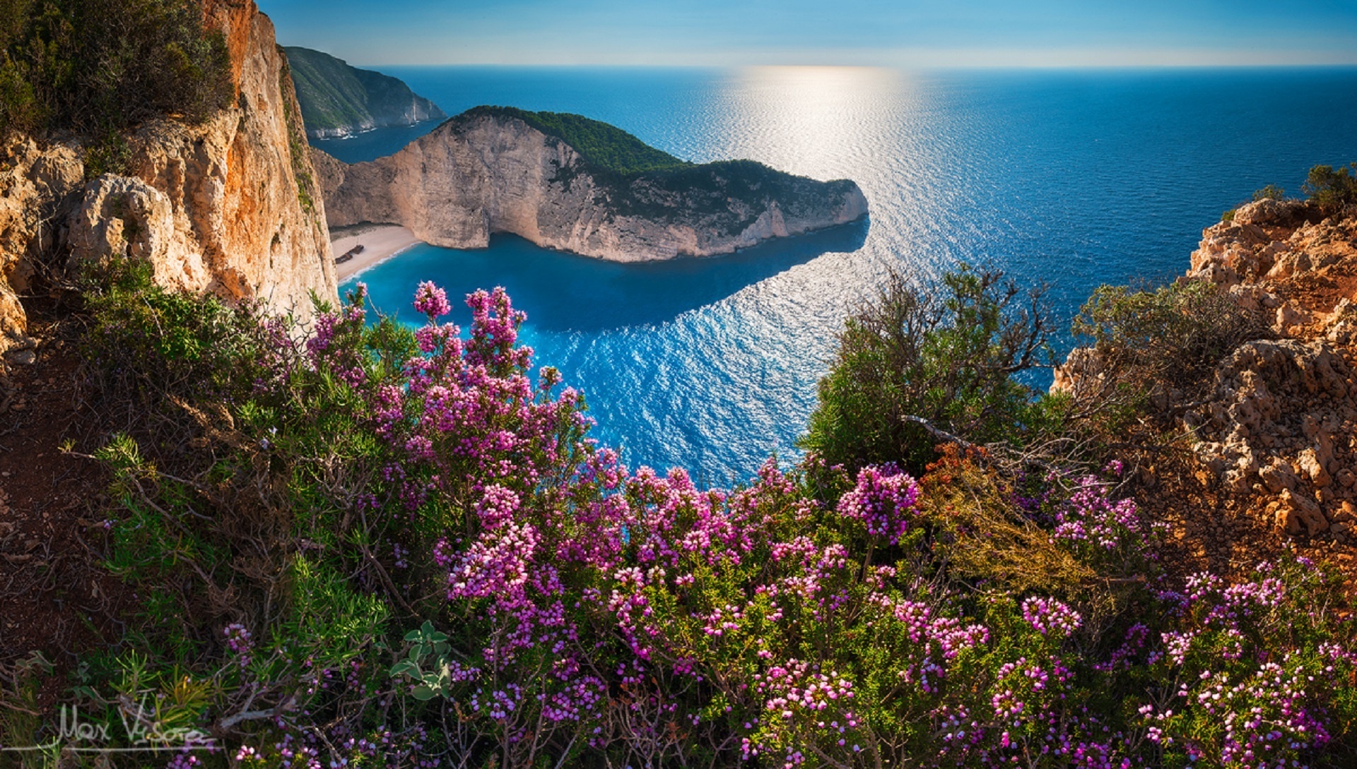 coast, pink flower, flower, earth, ocean, greece, horizon, navagio beach, zakynthos