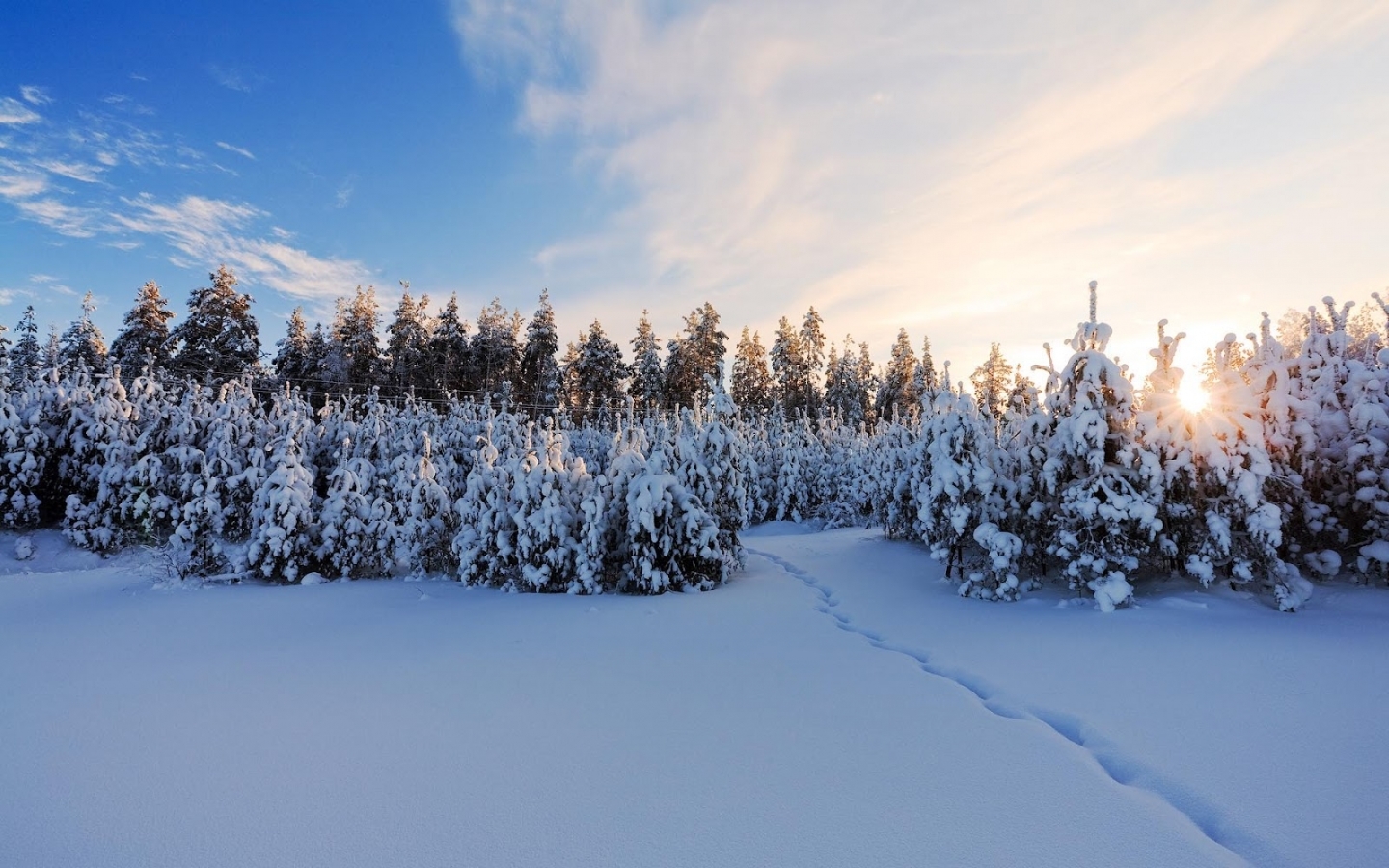 無料モバイル壁紙風景, 雪, 冬をダウンロードします。