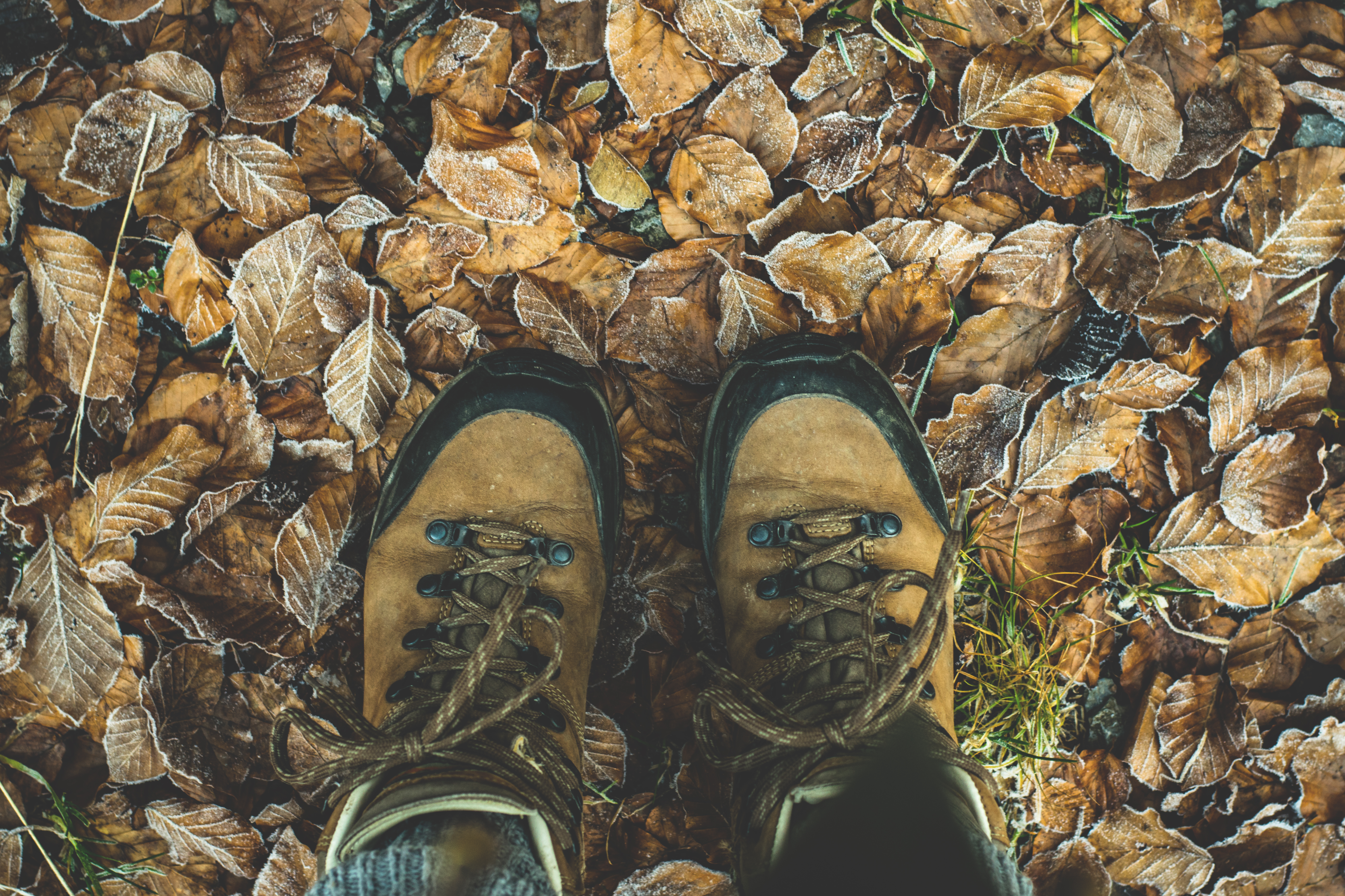 autumn, miscellanea, miscellaneous, legs, foliage, boots, shoes desktop HD wallpaper