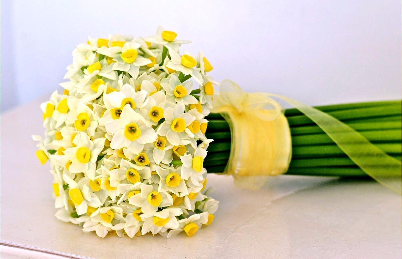 flowers, narcissussi, bouquet, bow, tape