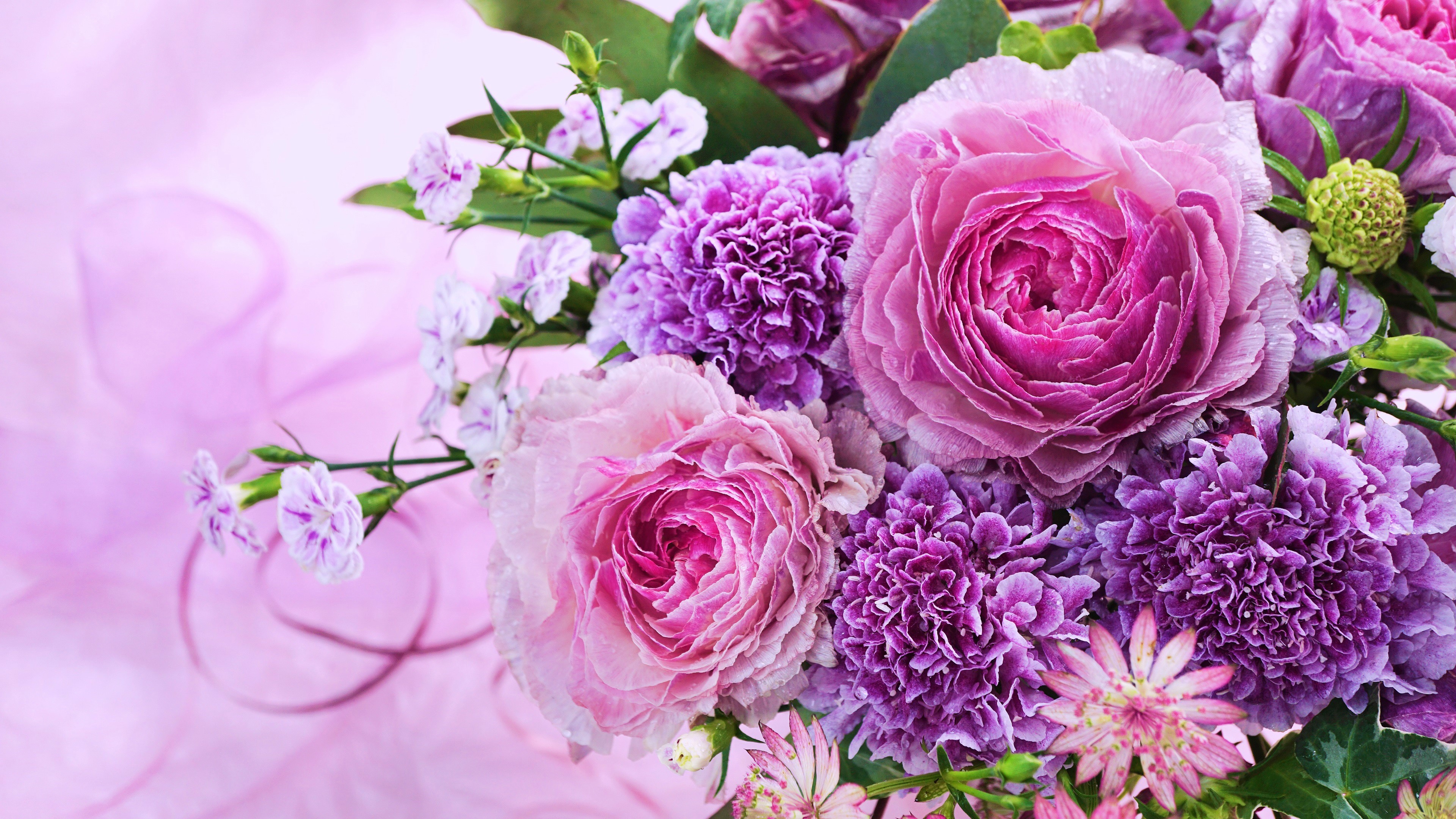 439866 免費下載壁紙 自然, 花, 康乃馨, 牡丹, 粉红色的花, 紫花, 玫瑰, 花卉 屏保和圖片