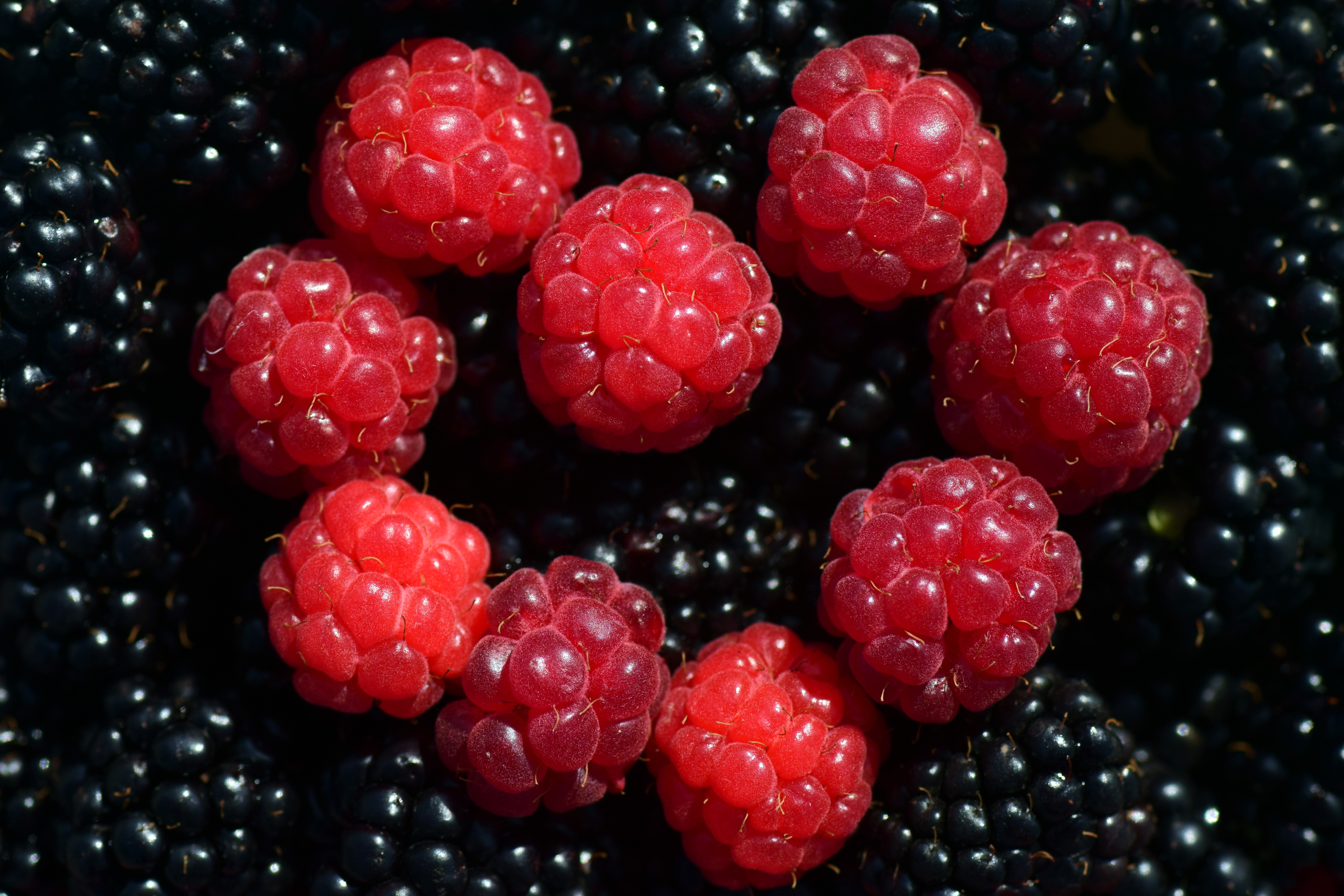 ripe, food, raspberry, berries, blackberry 8K