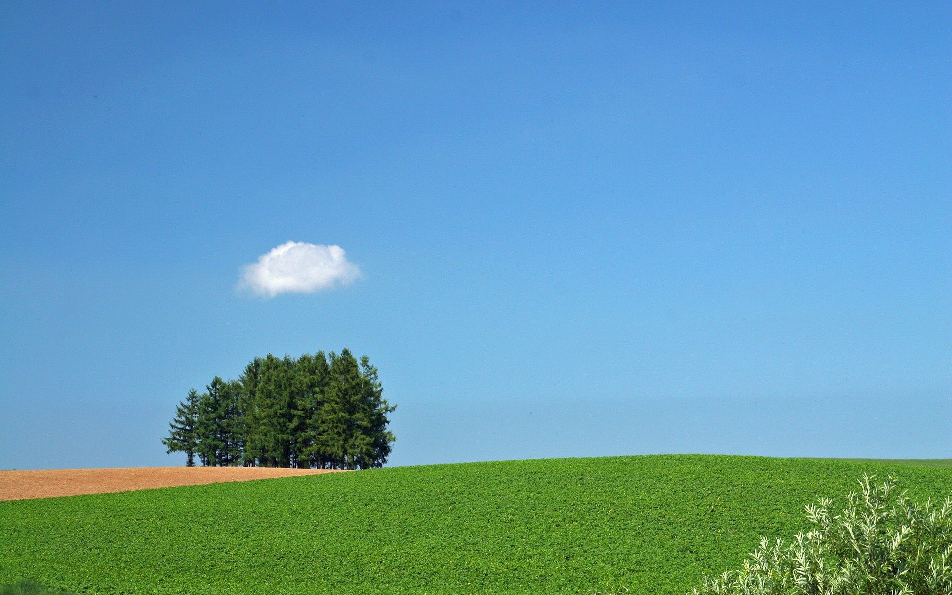 Download mobile wallpaper Field, Cloud, Trees, Summer, Nature for free.
