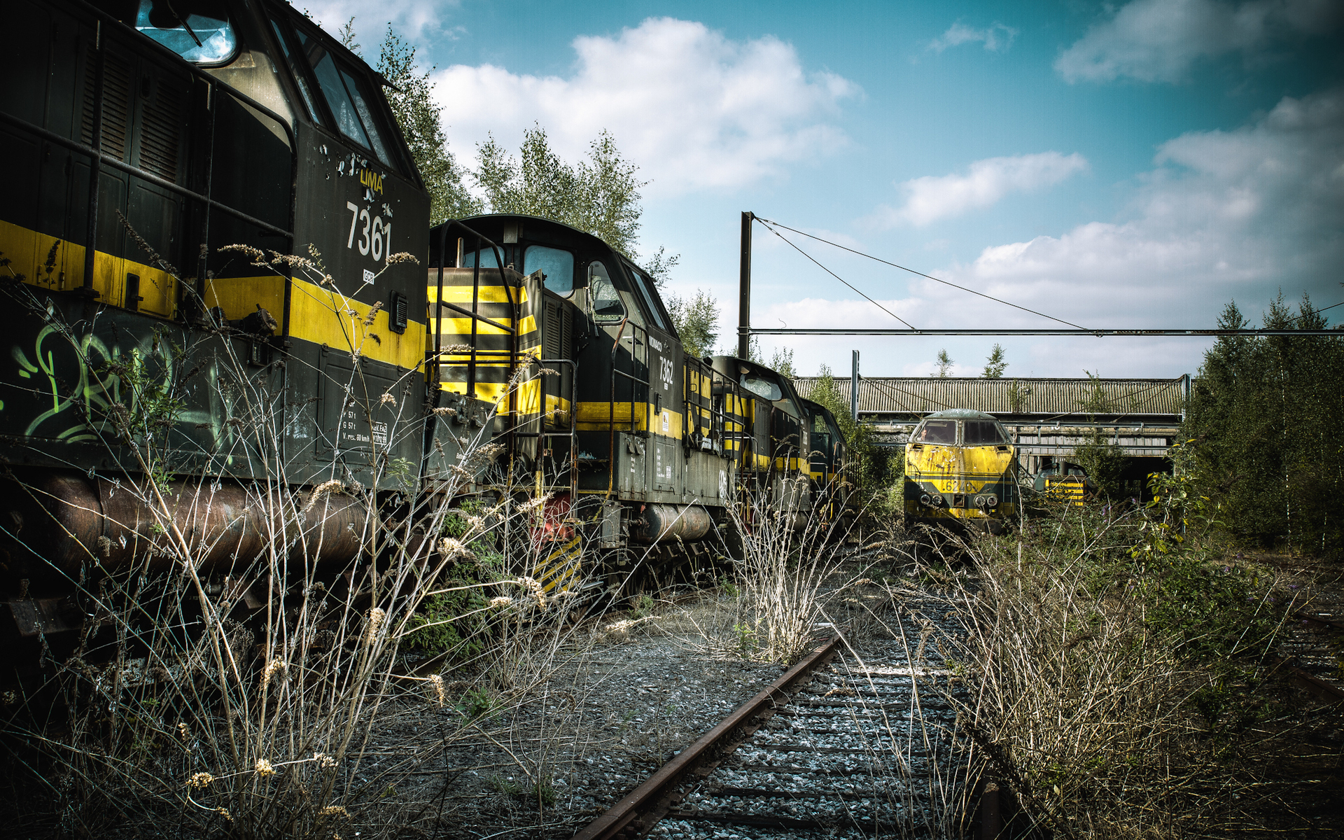 vehicles, train, locomotive, railroad