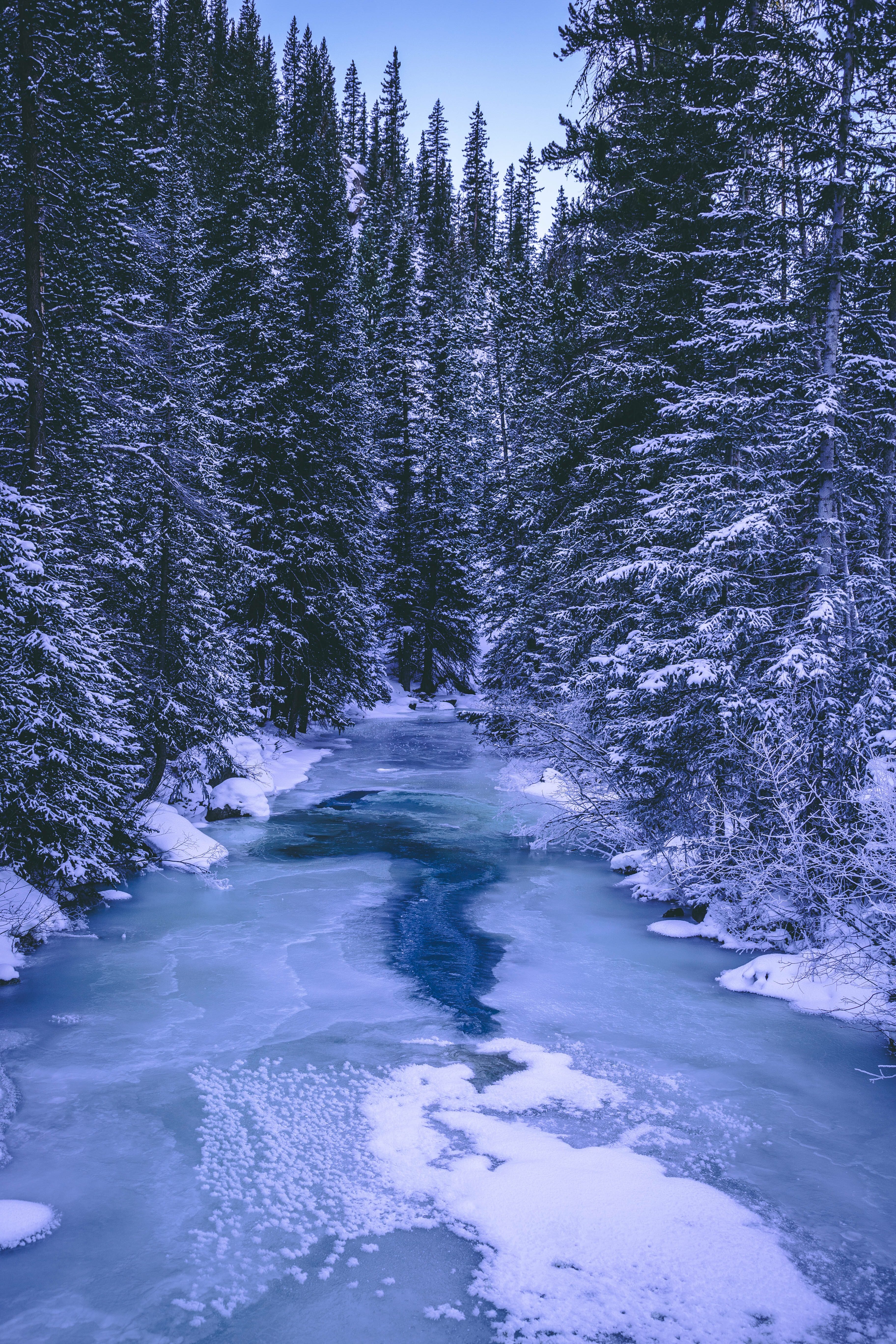 Download mobile wallpaper Rivers, Snow, Trees, Forest, Winter, Ice, Nature for free.