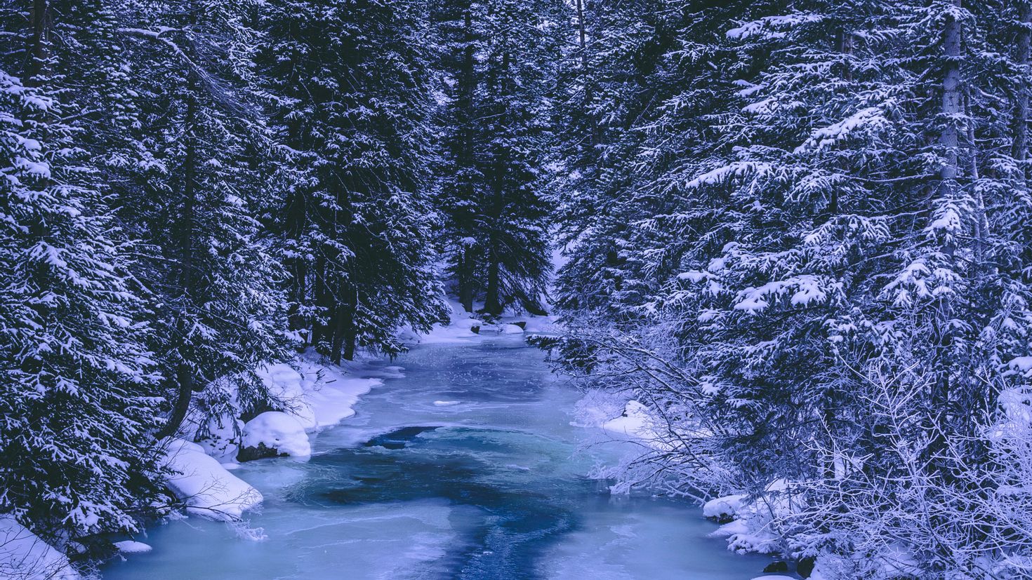 Природа снег и лед. Зимняя река. Зимний лес. Зимний лес с рекой. Река зимой.