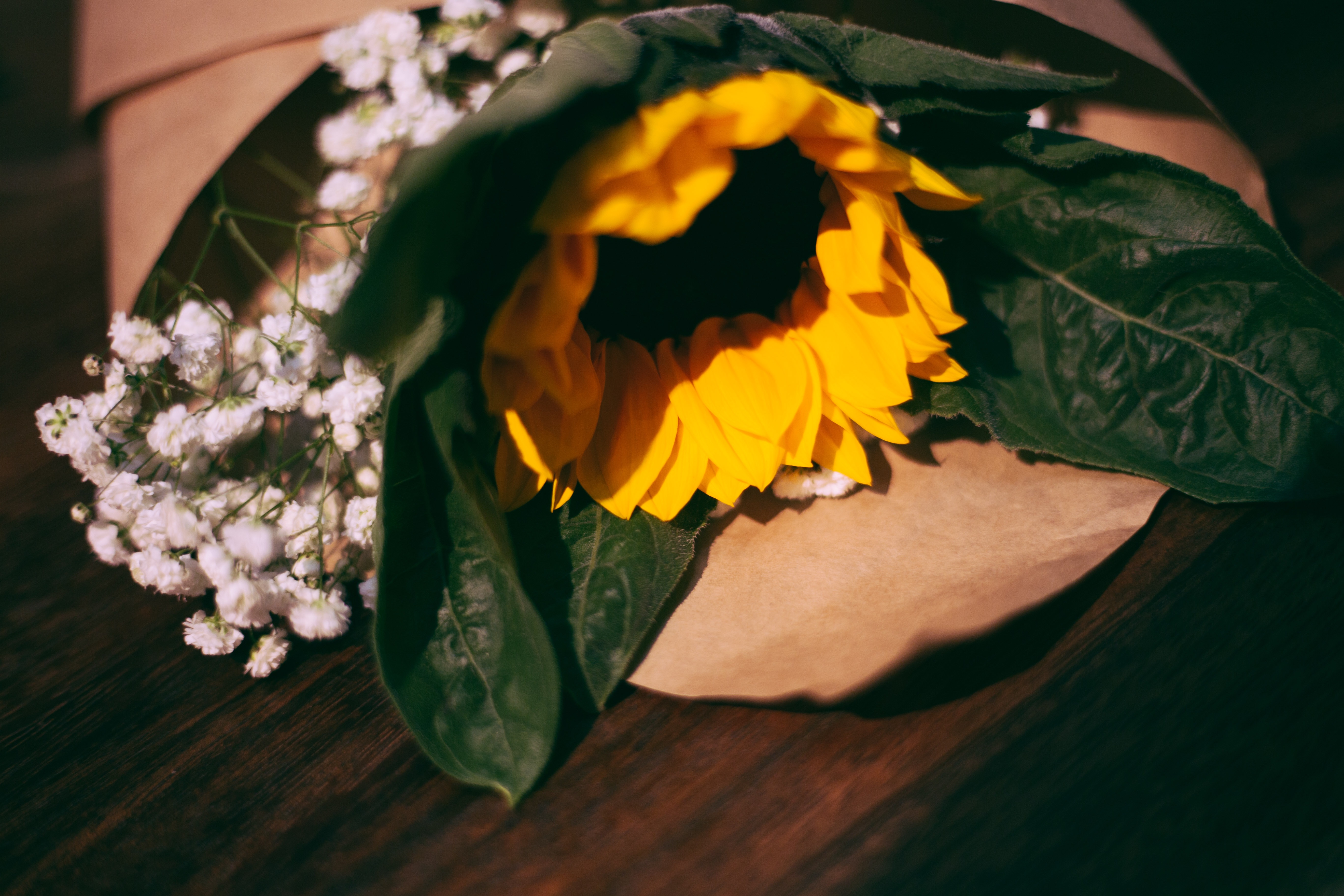 Laden Sie das Strauß, Komposition, Zusammensetzung, Sonnenblume, Bouquet, Blumen-Bild kostenlos auf Ihren PC-Desktop herunter