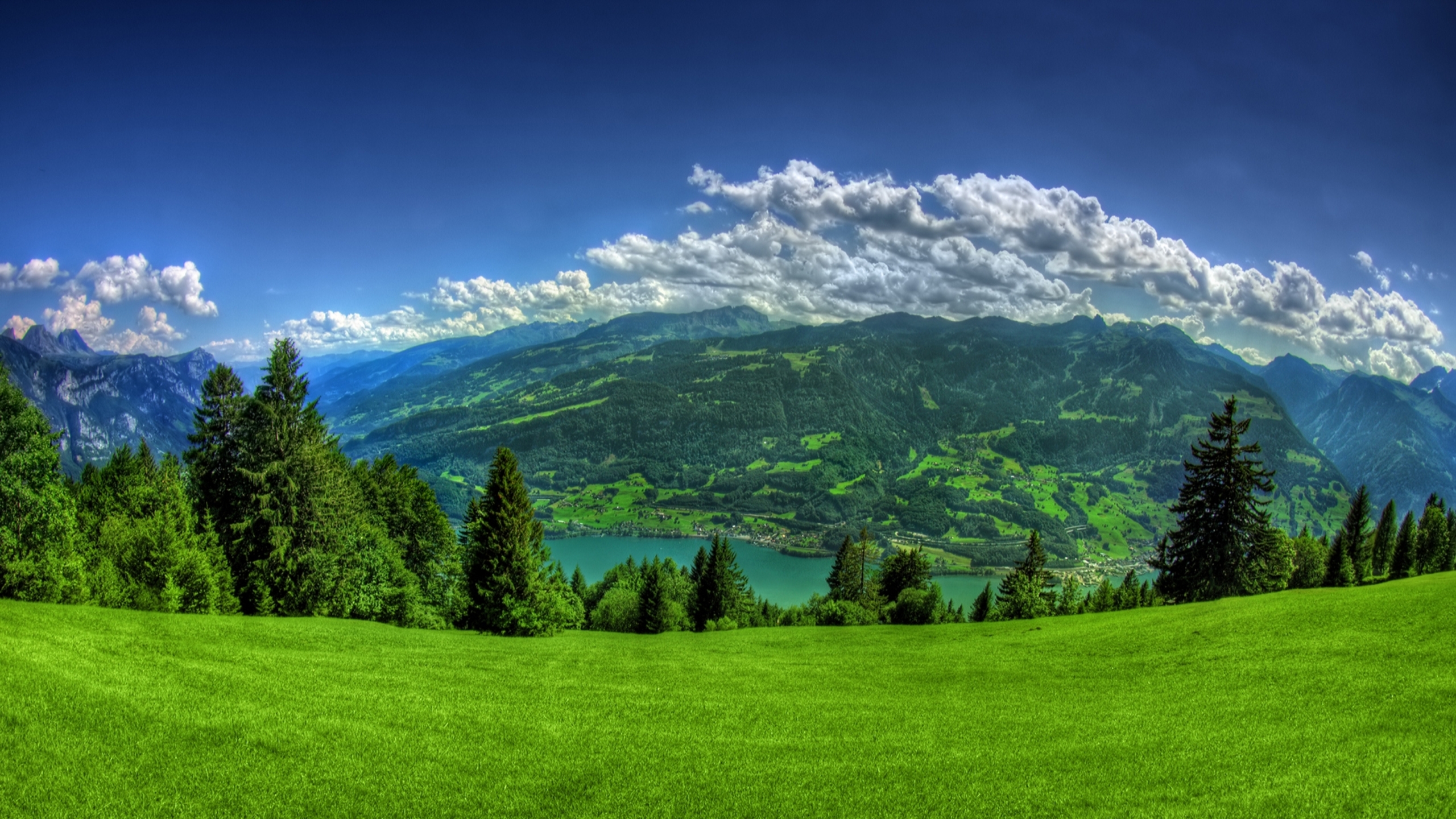 Альпийские Луга Швейцария