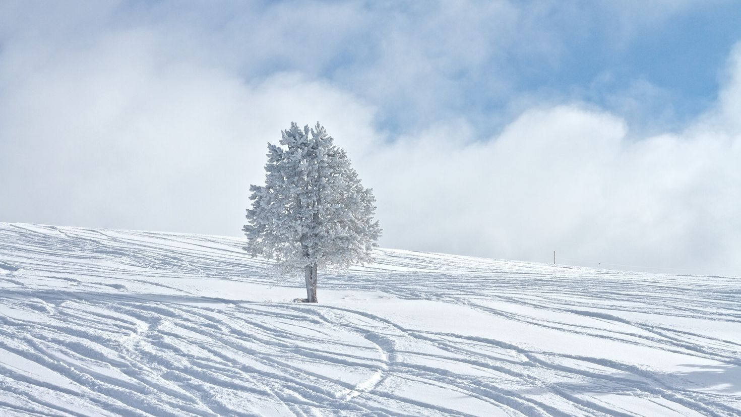 Look at those clouds it snow. Зимнее небо. Зимнее поле. Заснеженная равнина. Снежная равнина.