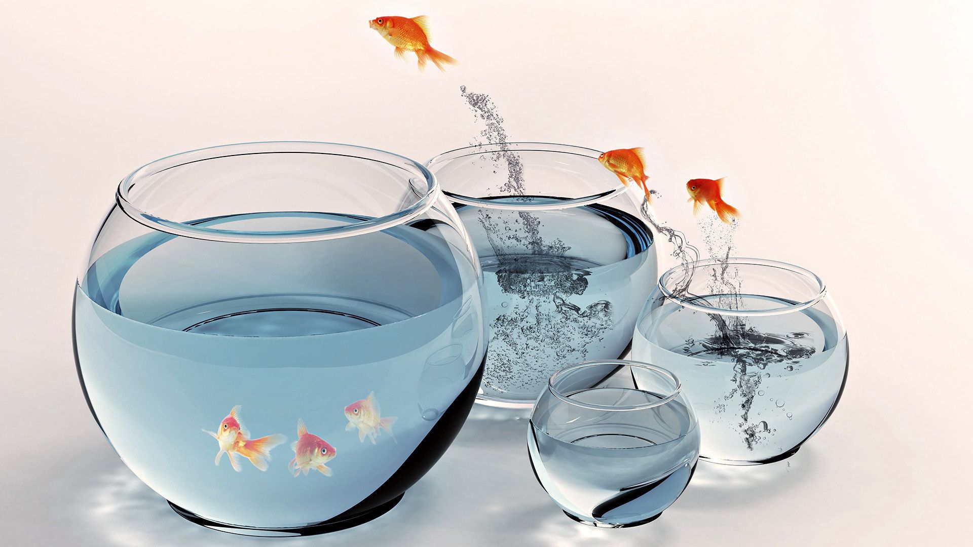 Download mobile wallpaper Aquarium, Bounce, Goldfish, Gold Fish, Jump, Water, Animals for free.