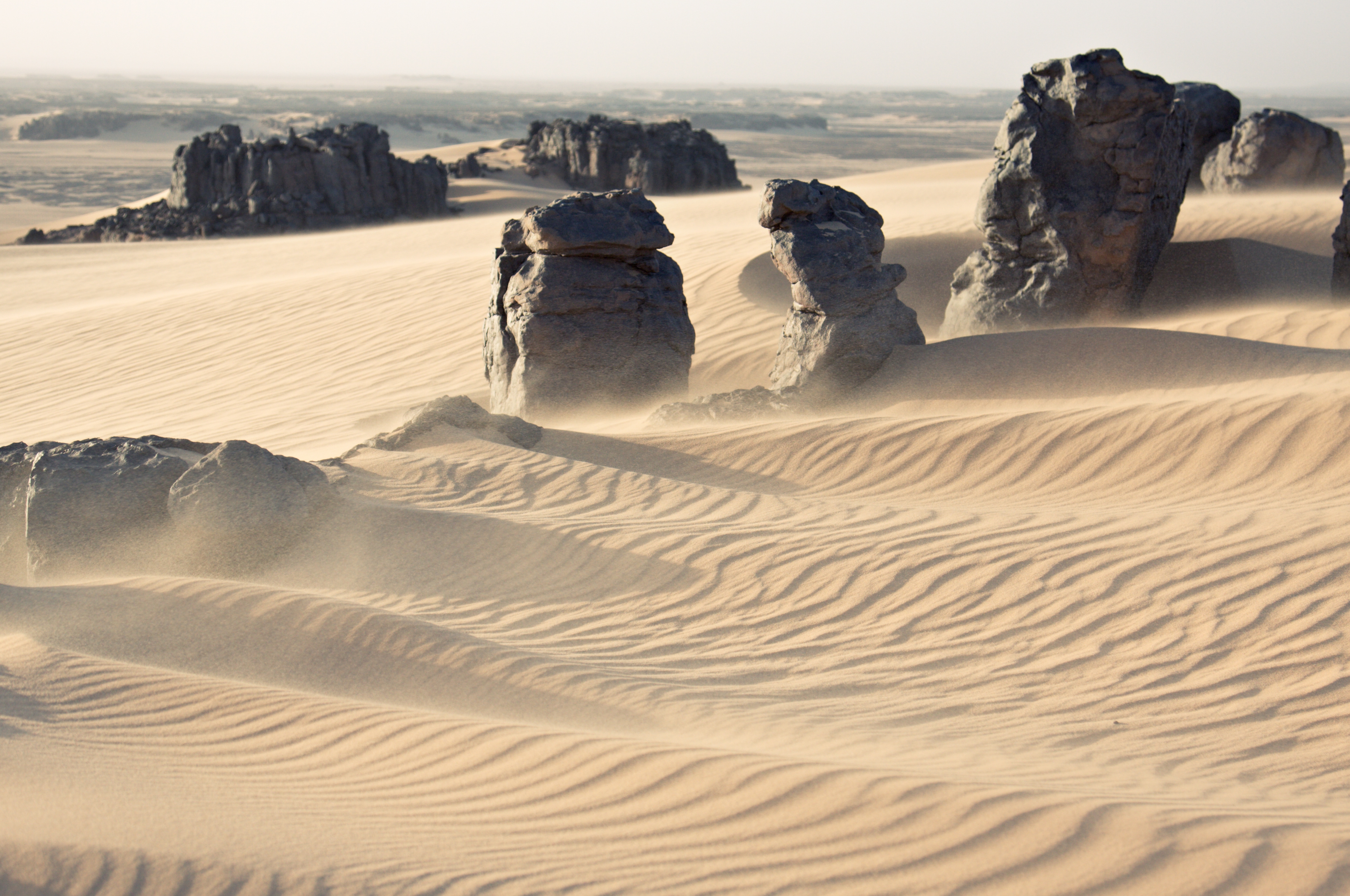 earth, desert, africa, algeria, dune, dust, landscape, sahara, sand, tassili n'ajjer, wind 1080p