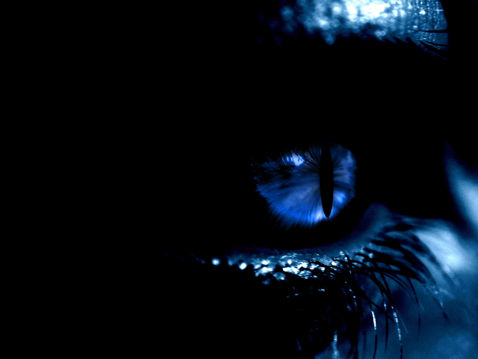 Синие глаза в темноте