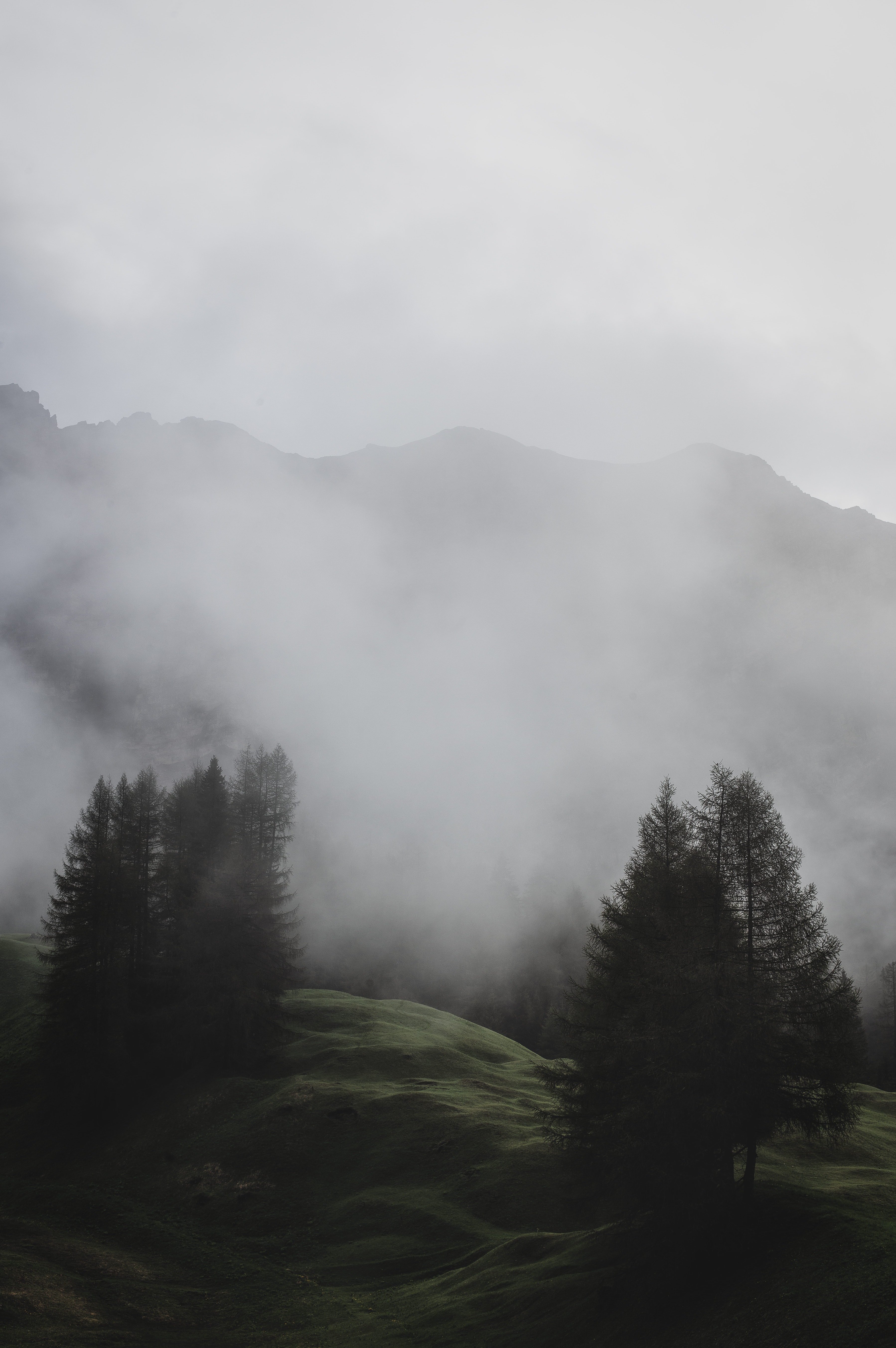 131664 скачать обои деревья, горы, туман, луг, природа, италия - заставки и картинки бесплатно