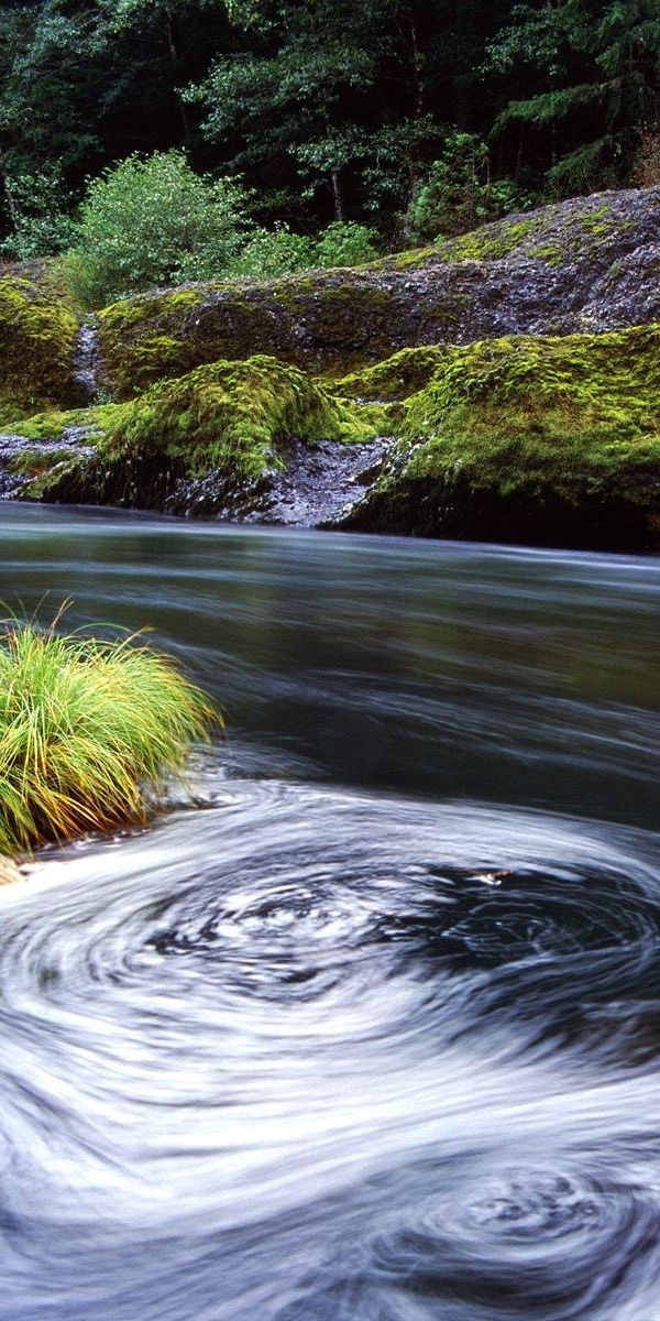 Красота воды река. Вода в природе. Живая природа. Вода река. Красота воды реки.
