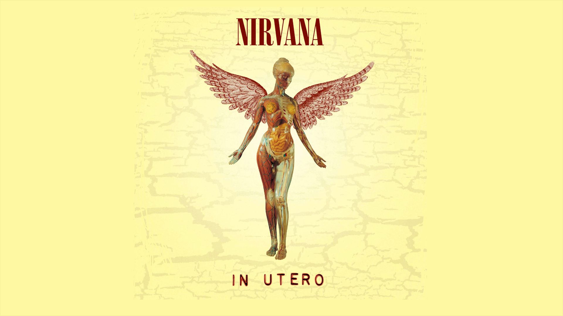 nirvana, album cover, music, anatomy, angel
