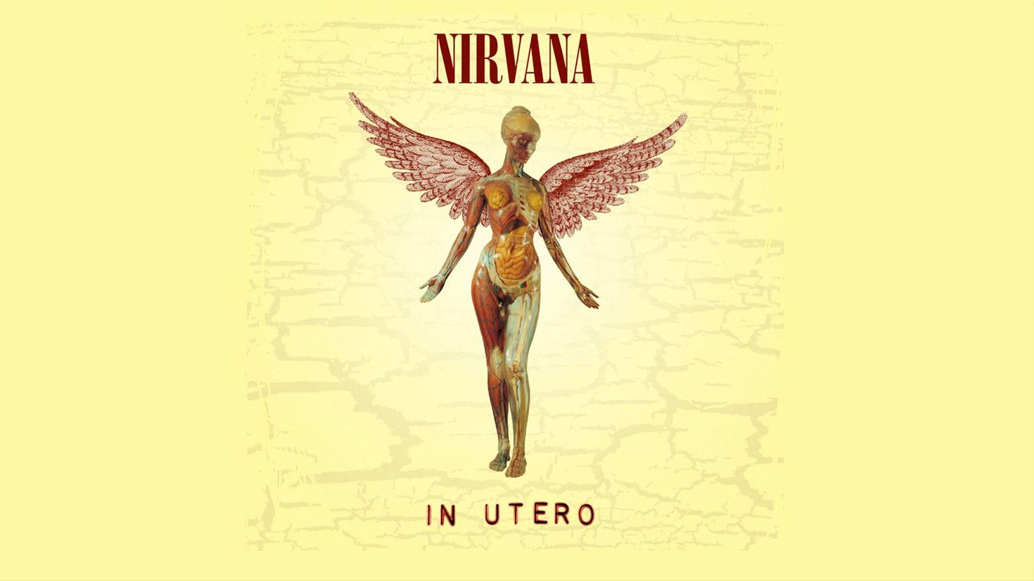 Вывел на обложке. Nirvana in utero обложка. Nirvana in utero альбом. Nirvana in utero обложка альбома. In utero 2013.