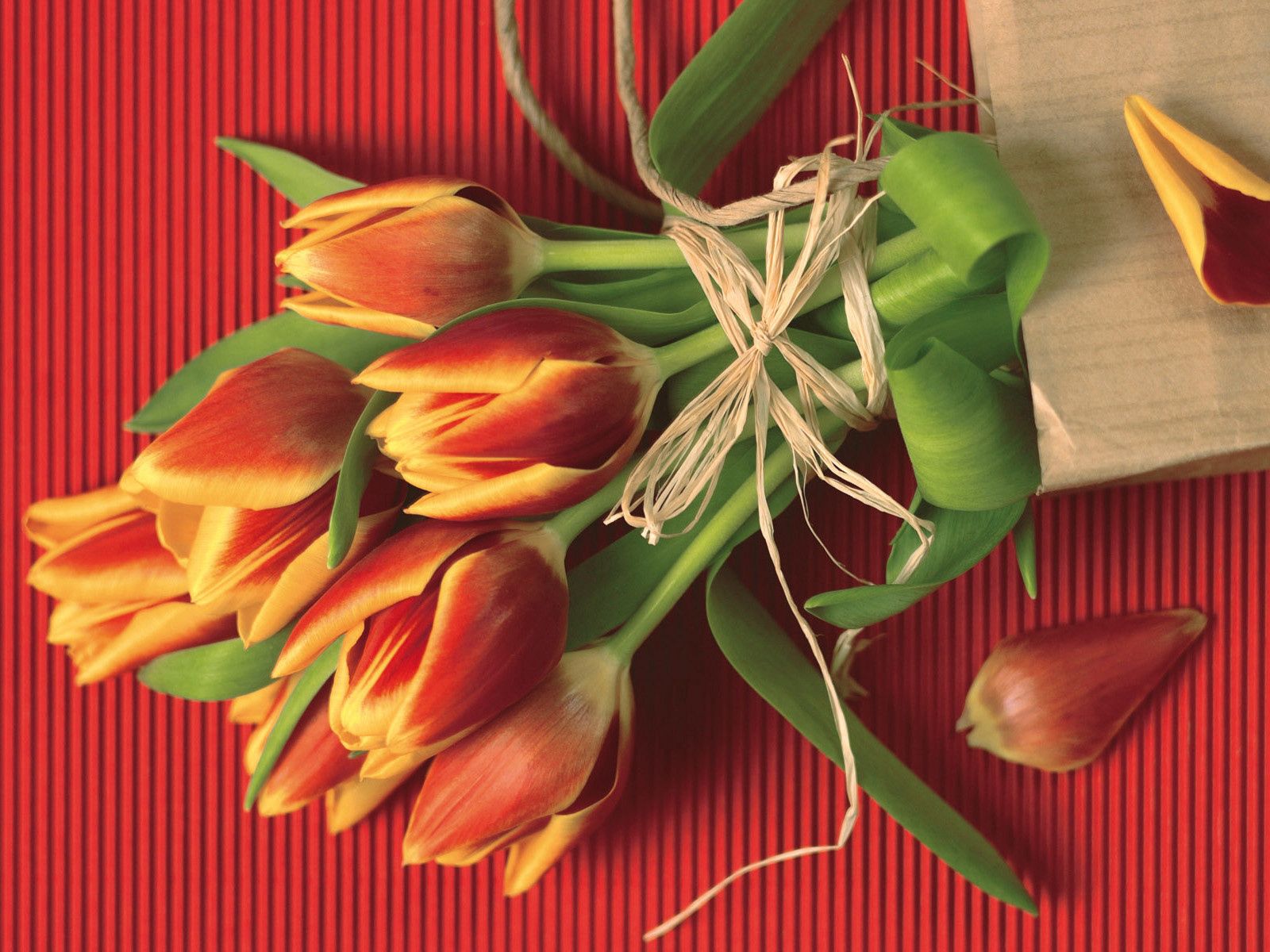 tulips, flowers, petals, bouquet, paper, rope 4K, Ultra HD