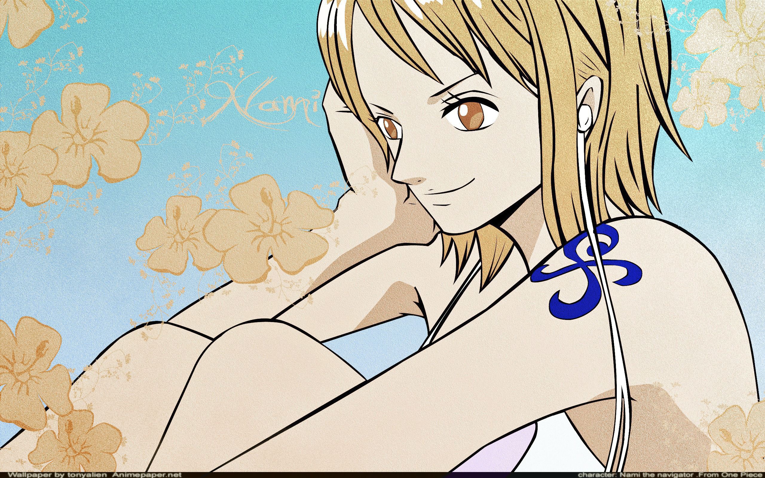 575588 Nami One Piece  Rare Gallery HD Wallpapers