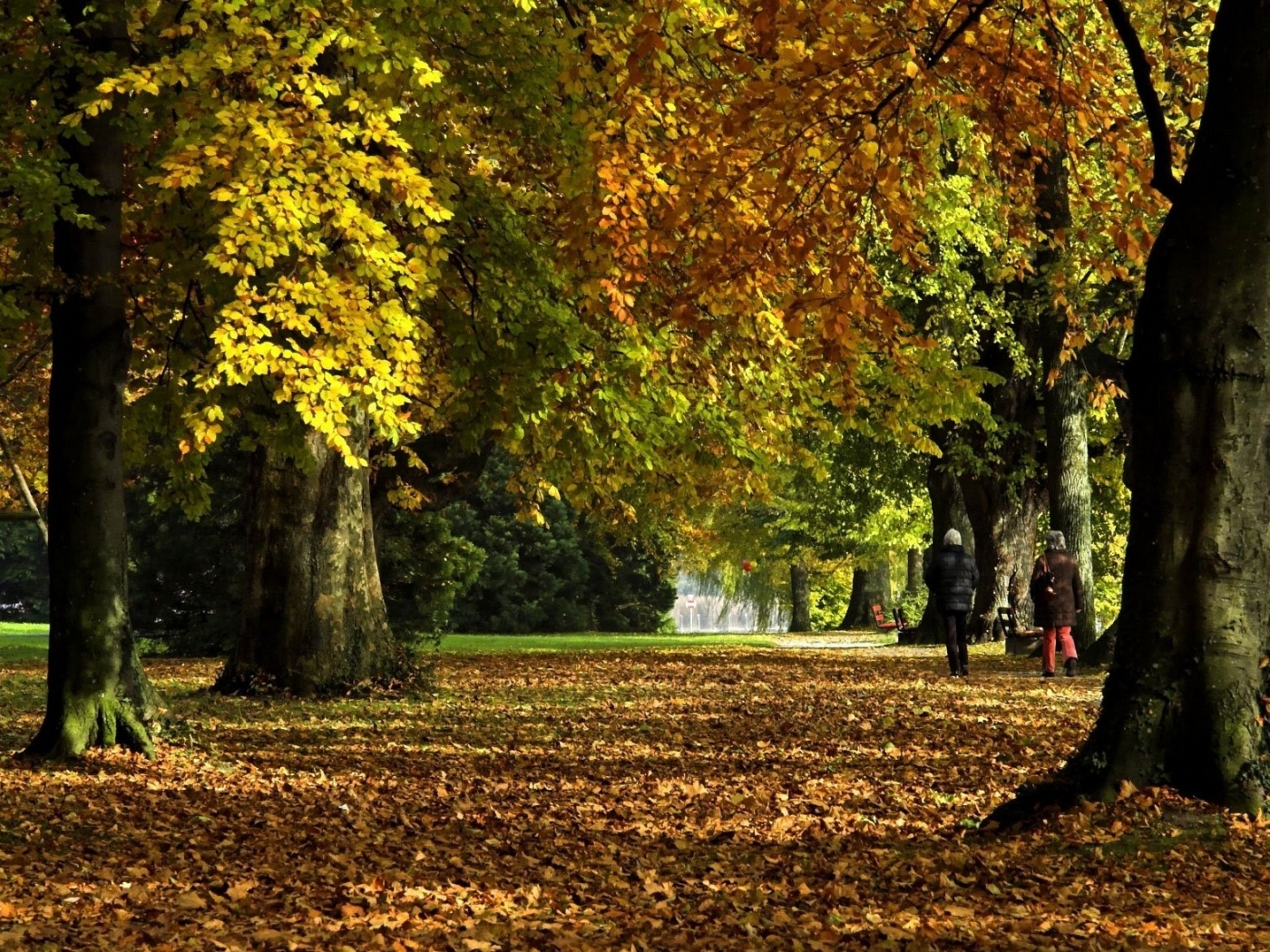 Download mobile wallpaper Parks, Trees, Leaves, Landscape, Autumn for free.