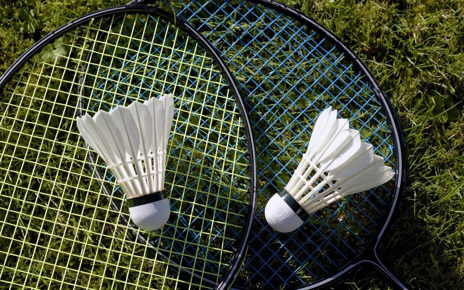 Badminton Wallpapers  Top Free Badminton Backgrounds  WallpaperAccess