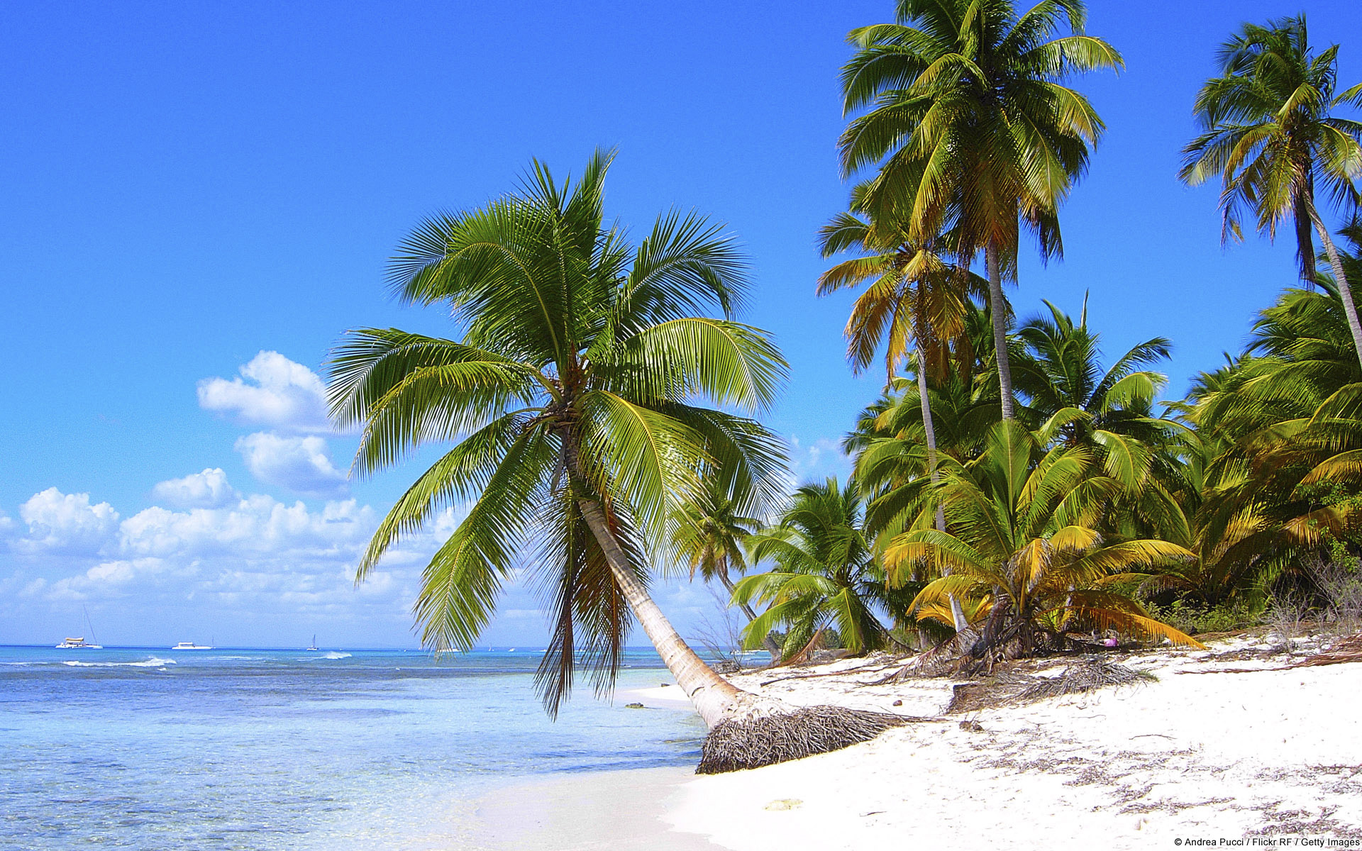 22143 Hintergrundbild herunterladen palms, sea, landschaft, strand - Bildschirmschoner und Bilder kostenlos