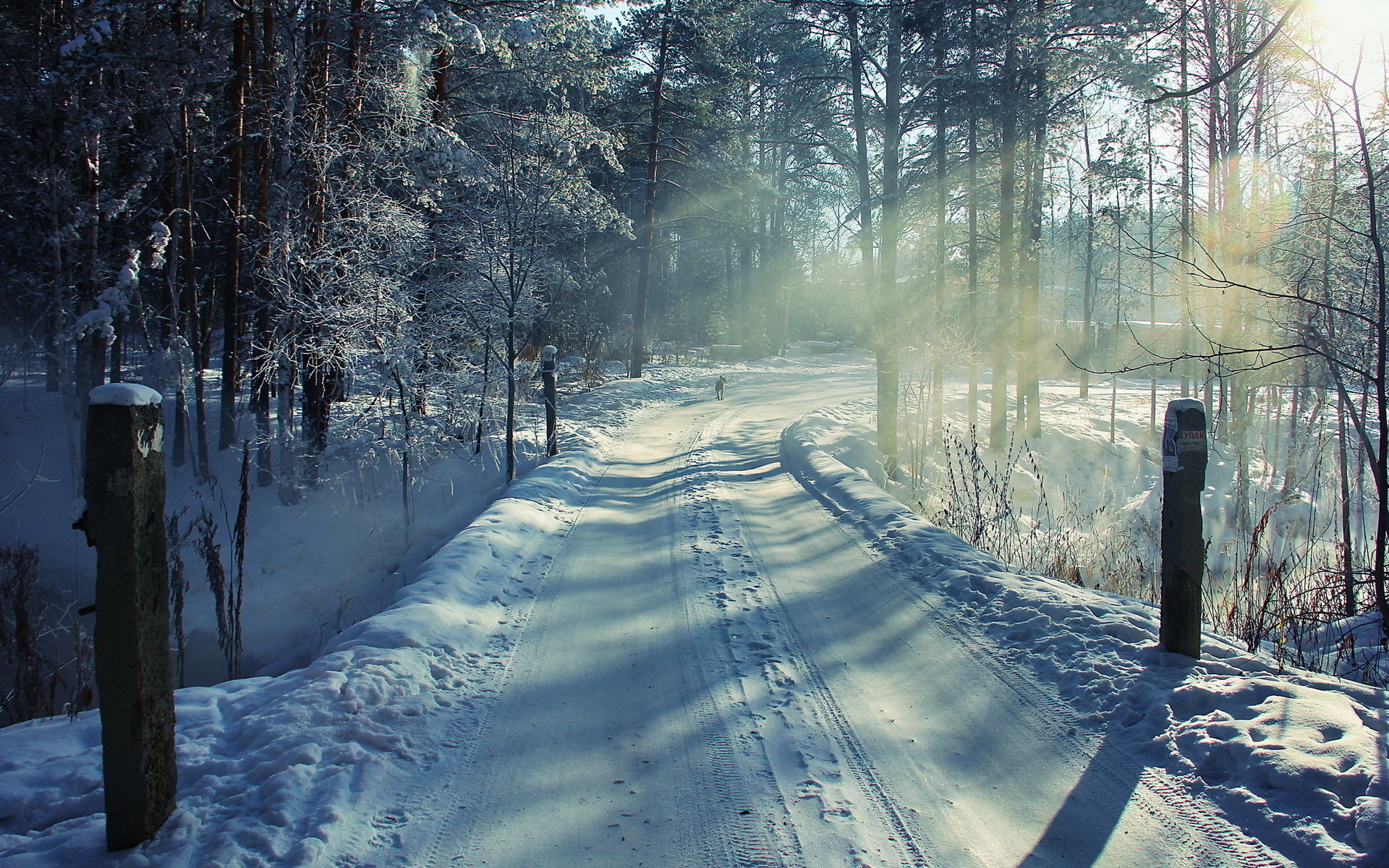 Handy-Wallpaper Landschaft, Winter, Roads, Bäume, Schnee kostenlos herunterladen.