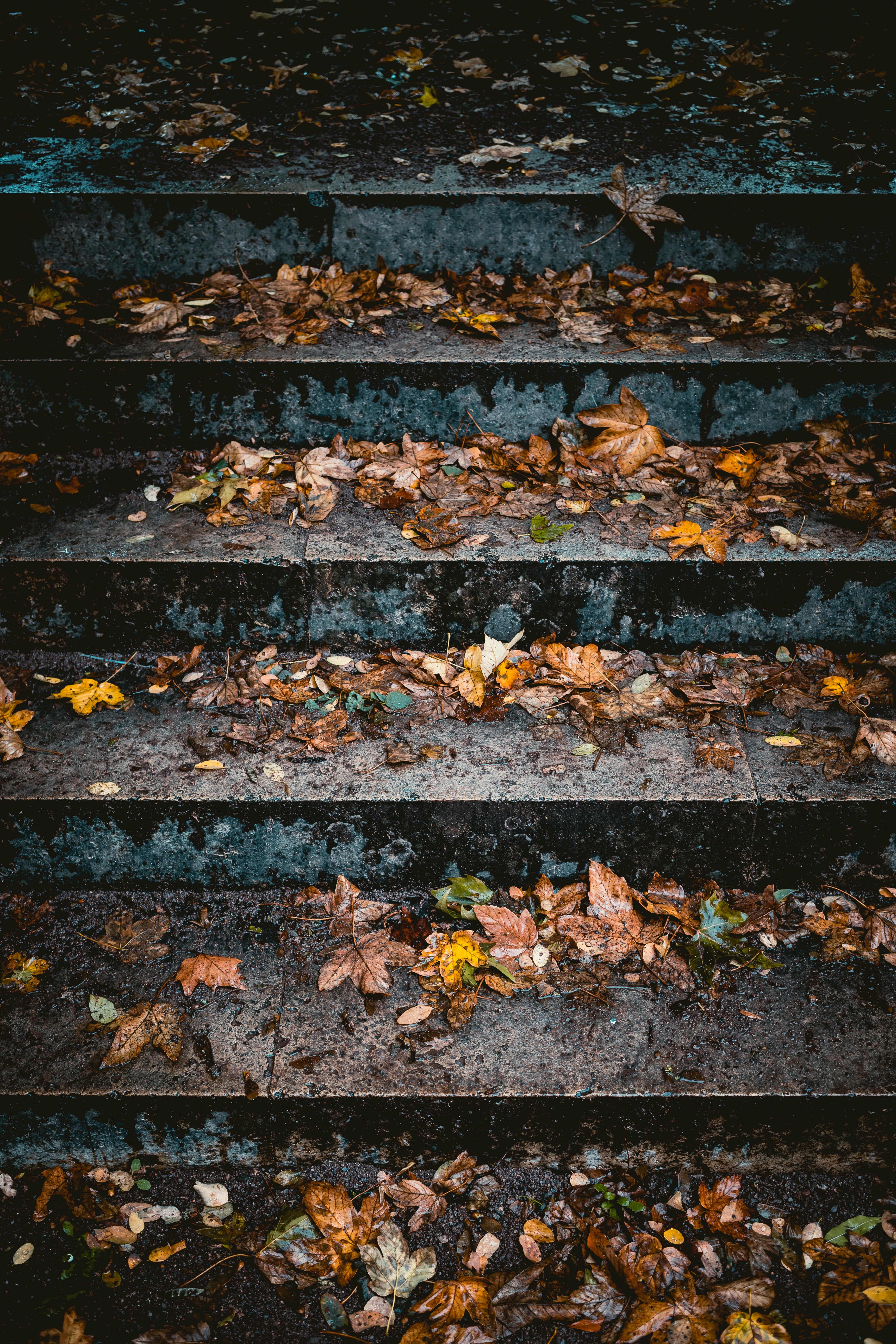 Laden Sie das Blätter, Verschiedenes, Sonstige, Leiter, Treppe, Herbst-Bild kostenlos auf Ihren PC-Desktop herunter