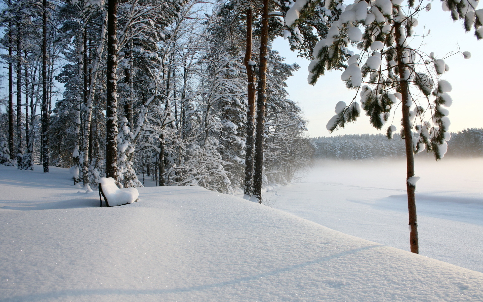 Скачать картинку Деревья, Снег, Зима, Пейзаж в телефон бесплатно.