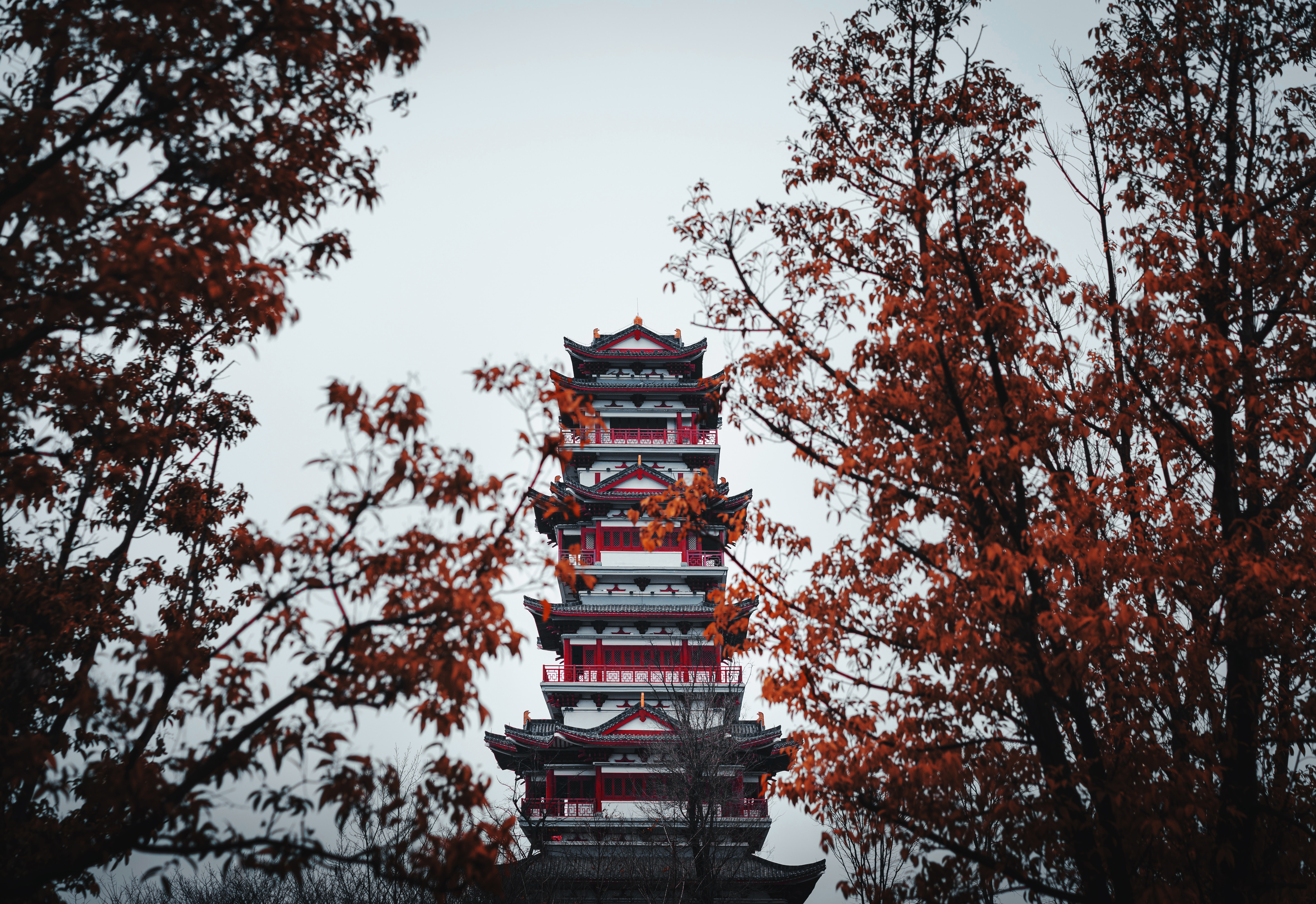 temple, pagoda, trees, architecture, building, miscellanea, miscellaneous