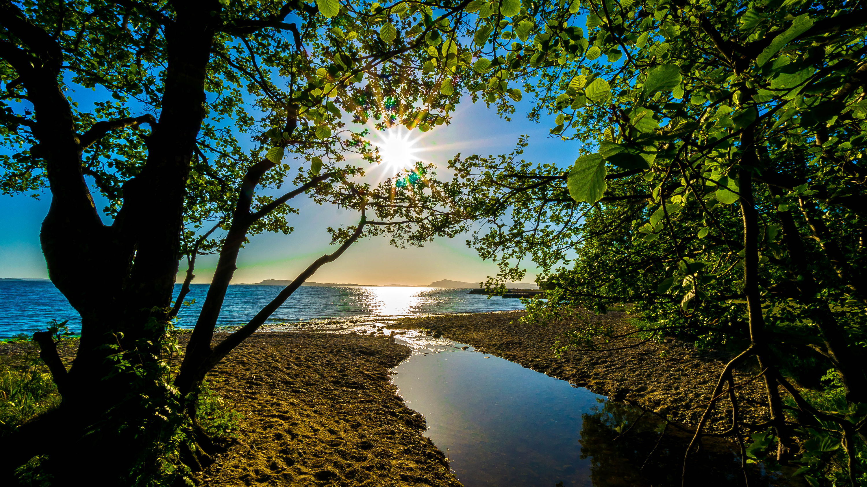 nature, trees, shore, light, shine, sea, sand, bank 4K Ultra