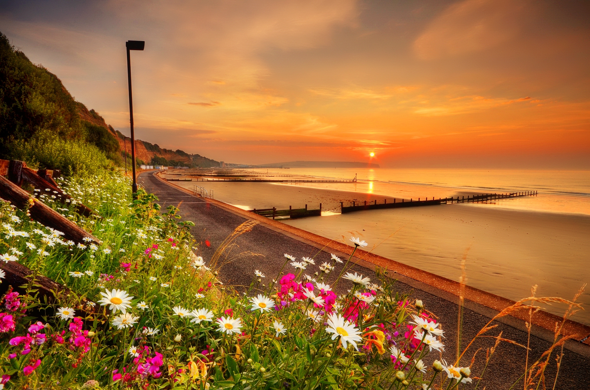 Free download wallpaper Sunset, Sky, Beach, Horizon, Flower, Coast, Pier, Ocean, Earth, Coastline, Photography on your PC desktop