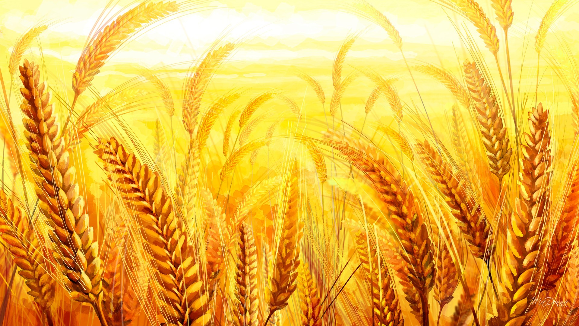 Золотой Колос пшеницы