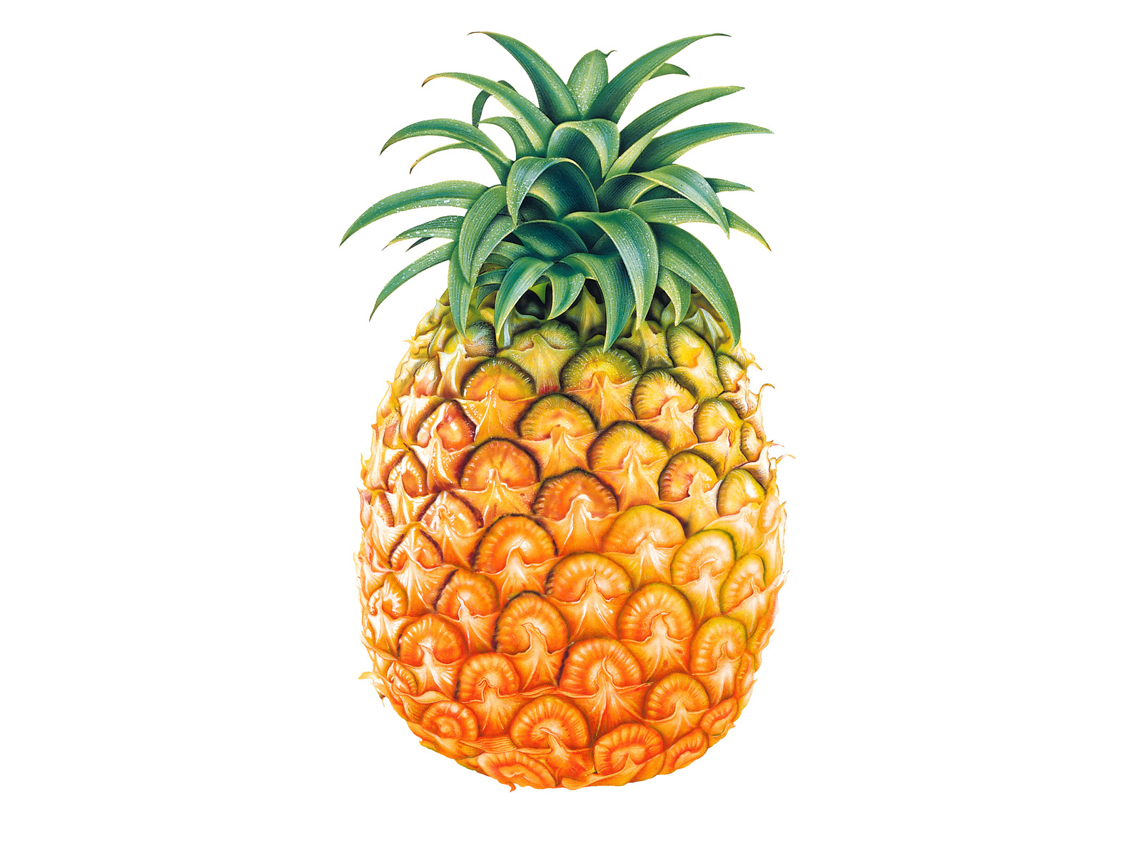 pineapple, food, fruits