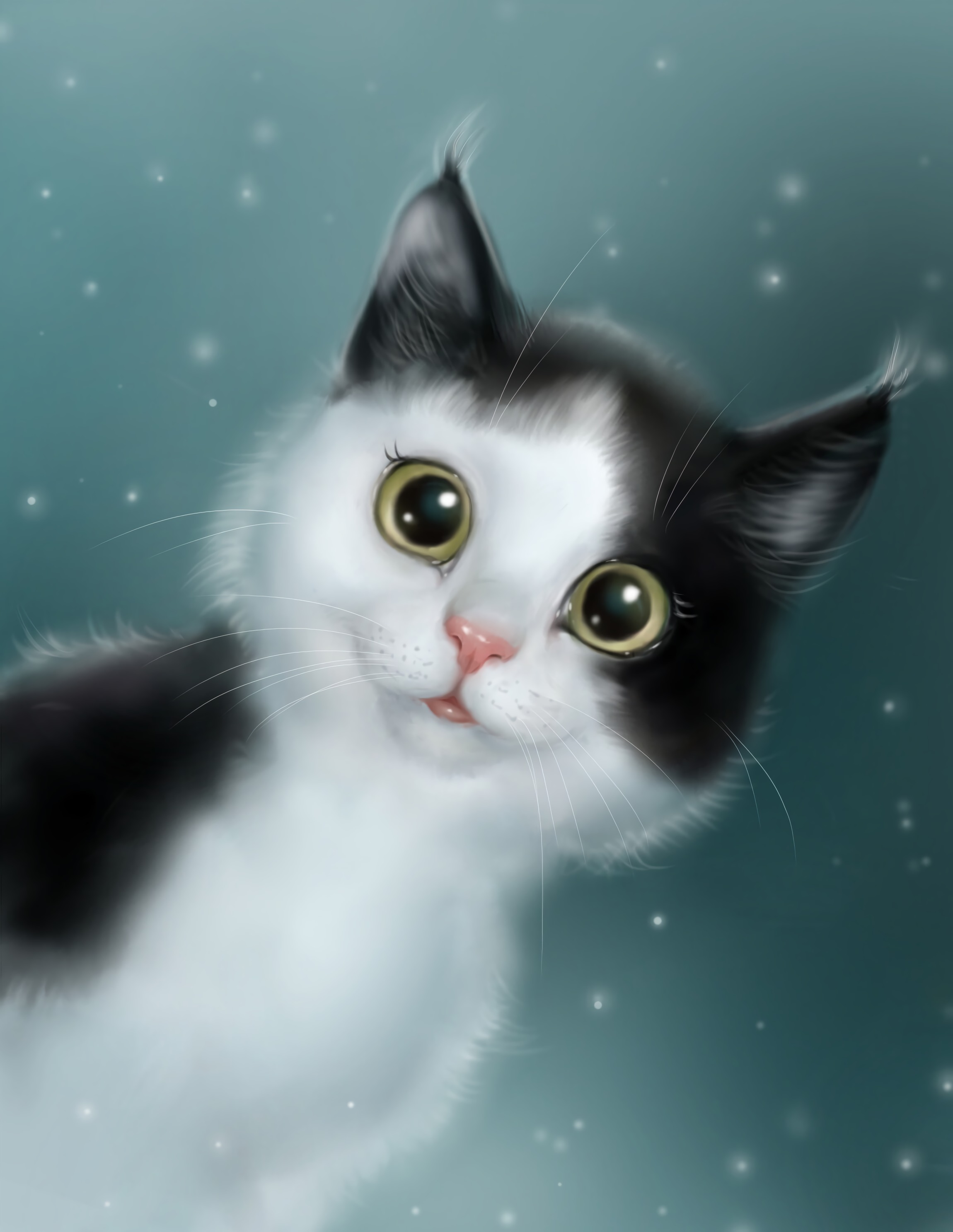 cat, sweetheart, nice, art, pet phone background