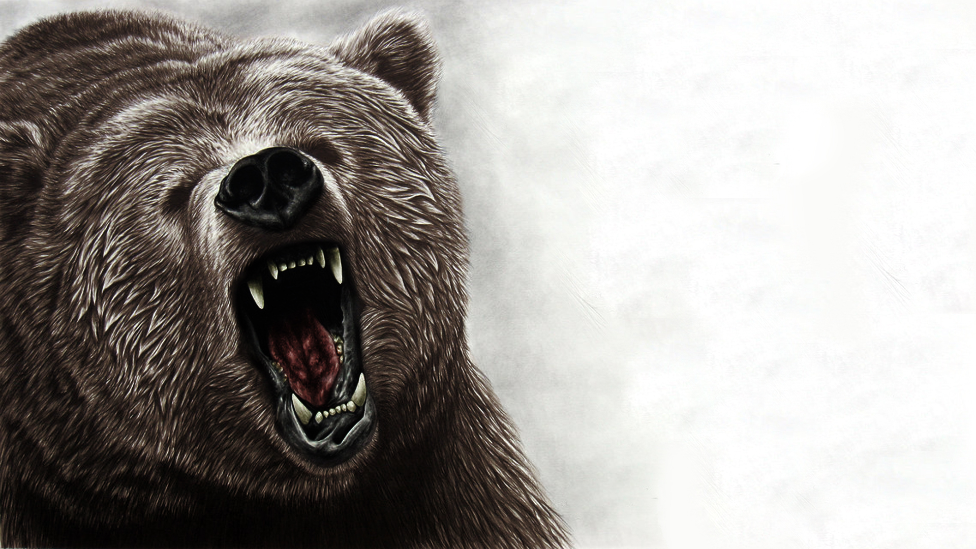 Рисунок 3d медведи