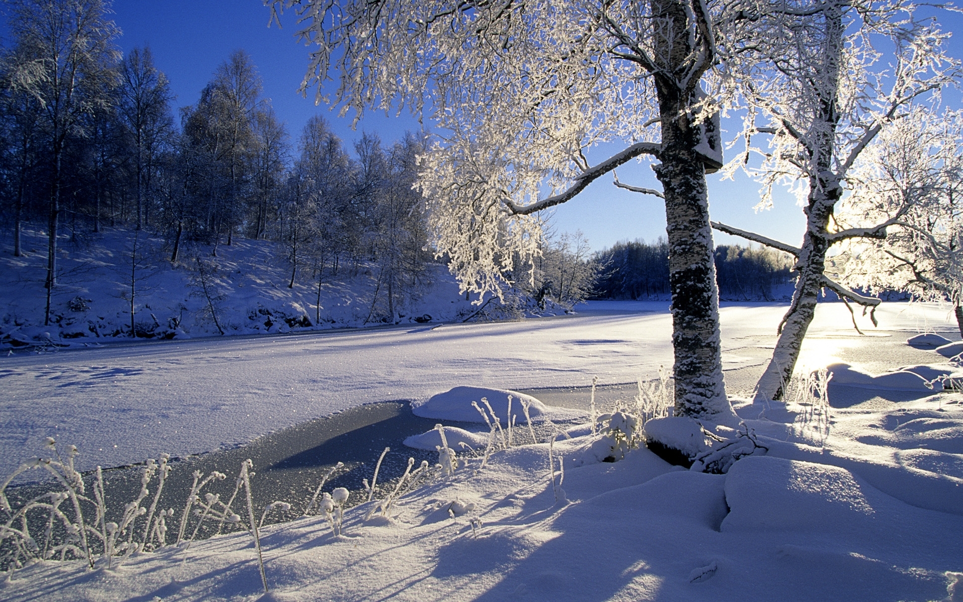26558 скачать картинку зима, синие, пейзаж, деревья, солнце, снег - обои и заставки бесплатно